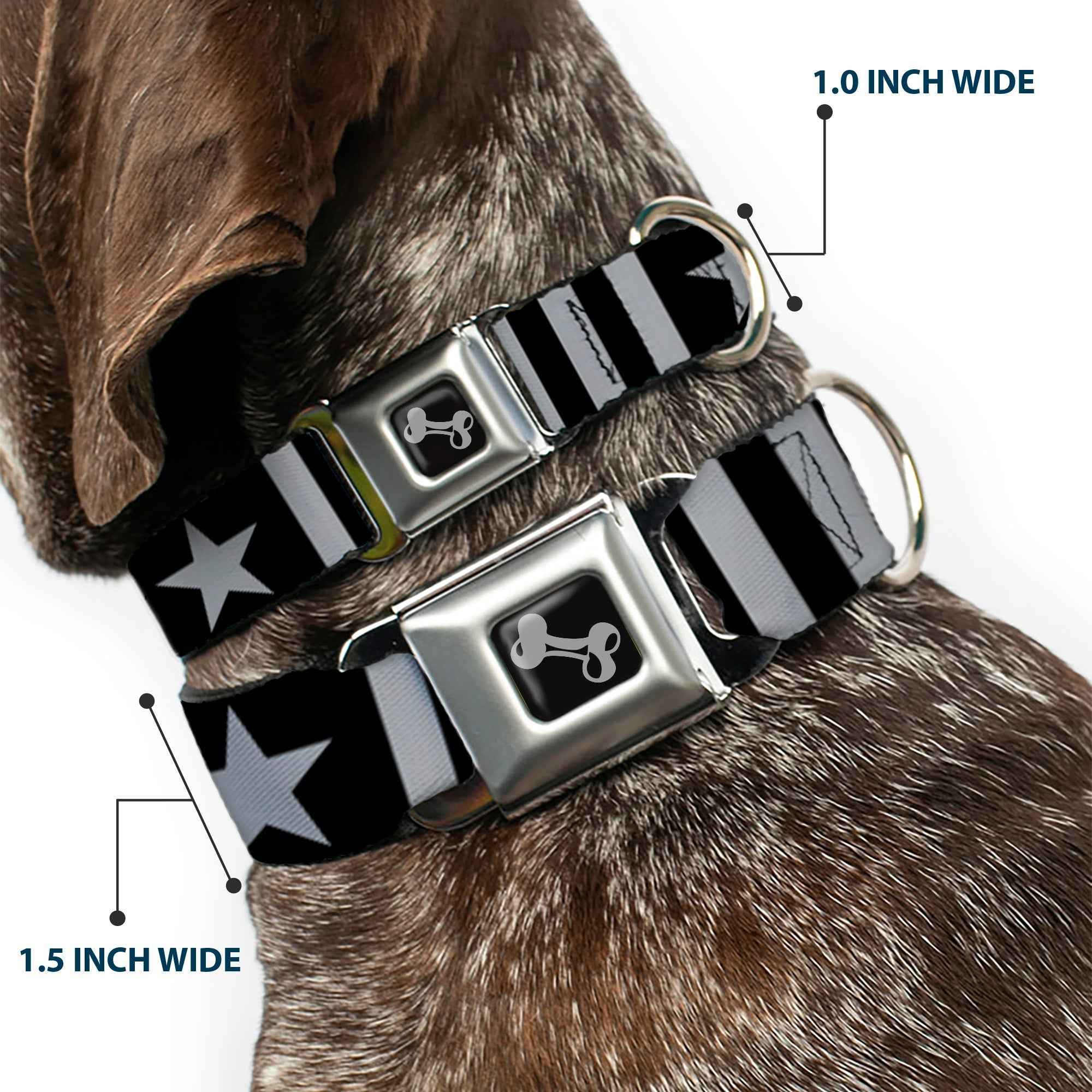 Buckle-Down Dog Bone Black/Silver Seatbelt Buckle Dog Collar - Star and Three Stripes Black/Gray