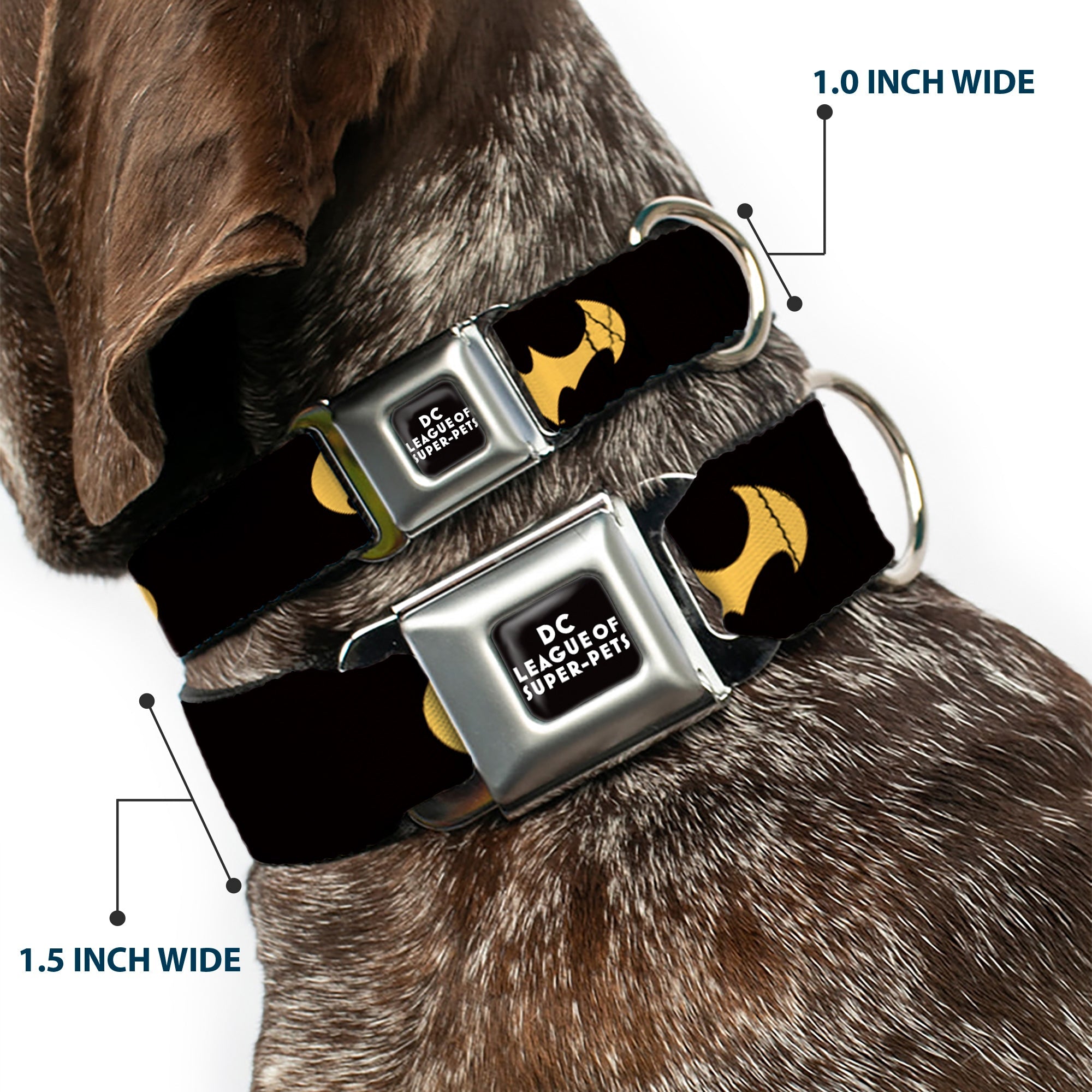 DC LEAGUE OF SUPER-PETS Logo Full Color Black/White Seatbelt Buckle Collar - DC League of Super-Pets Batman Bat Logo Black/Yellow