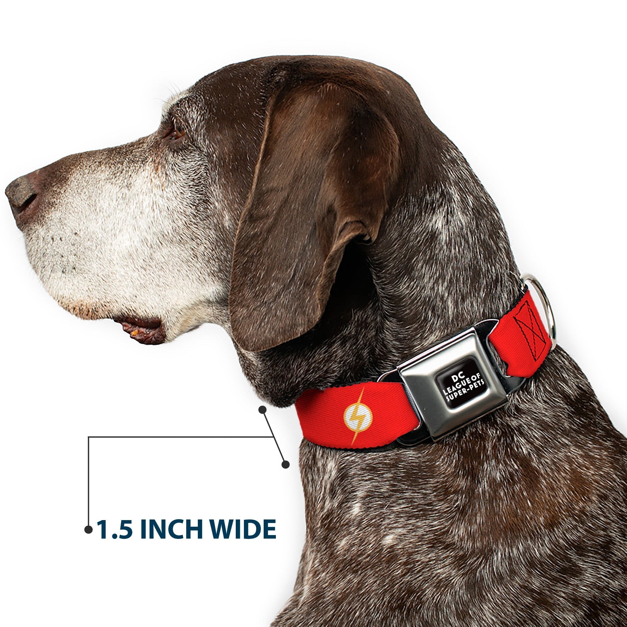 DC LEAGUE OF SUPER-PETS Logo Full Color Black/White Seatbelt Buckle Collar - DC League of Super-Pets Flash Bolt Logo Red/Yellow/White
