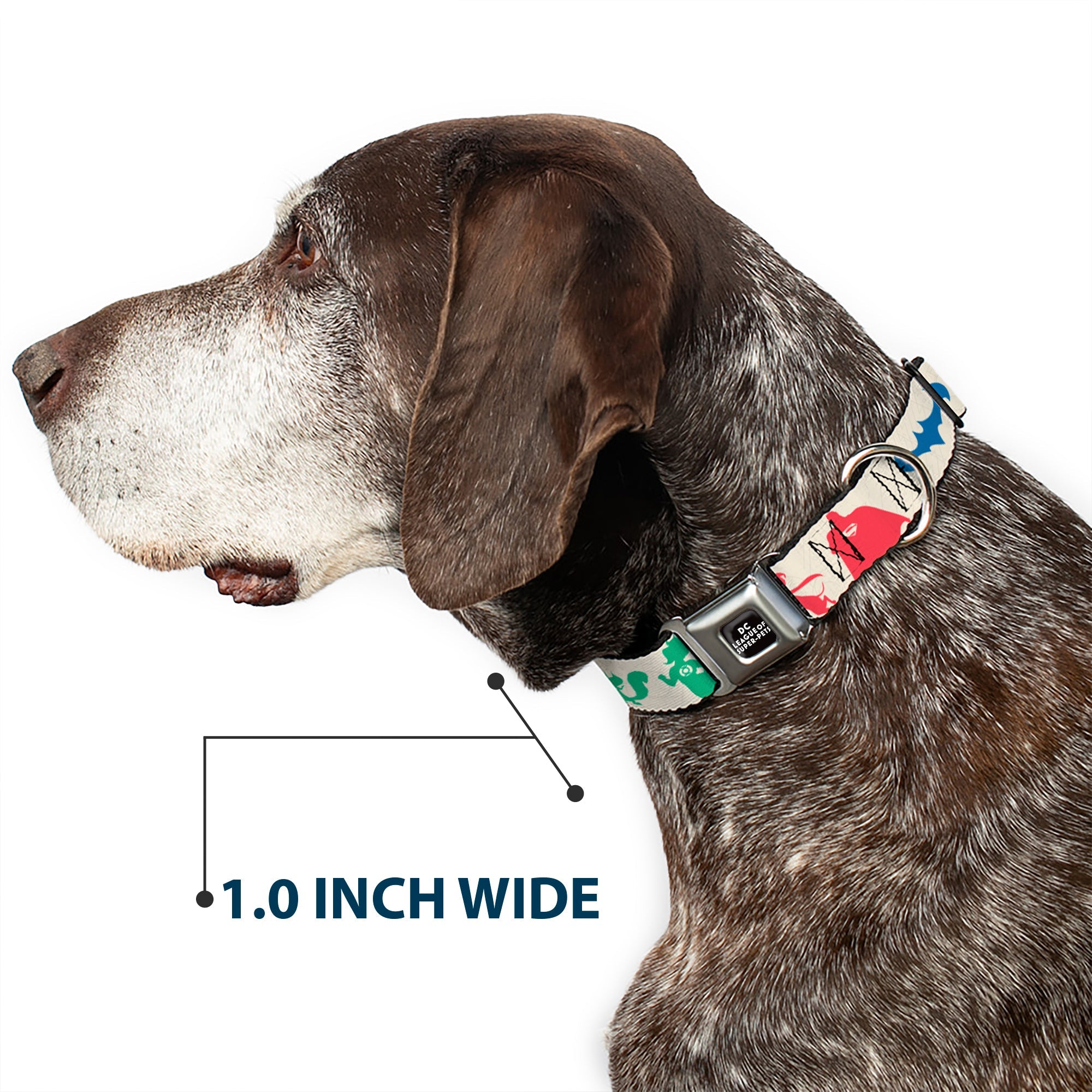 DC LEAGUE OF SUPER-PETS Logo Full Color Black/White Seatbelt Buckle Collar - DC League of Super-Pets Superhero with Pets and Logos Silhouette White/Multi Color