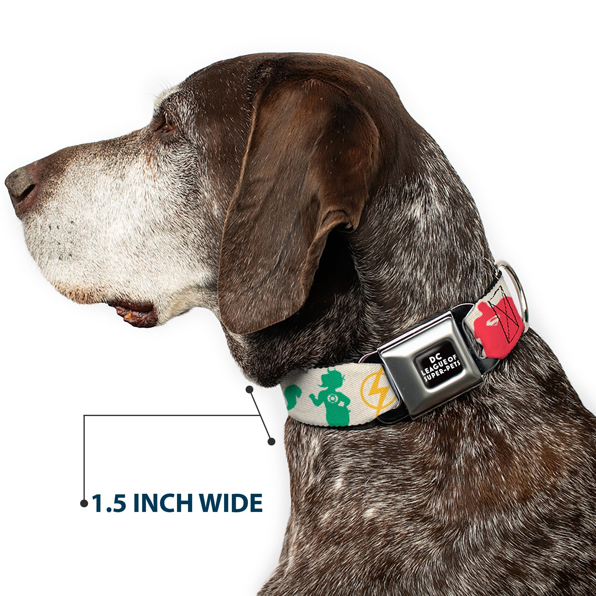 DC LEAGUE OF SUPER-PETS Logo Full Color Black/White Seatbelt Buckle Collar - DC League of Super-Pets Superhero with Pets and Logos Silhouette White/Multi Color