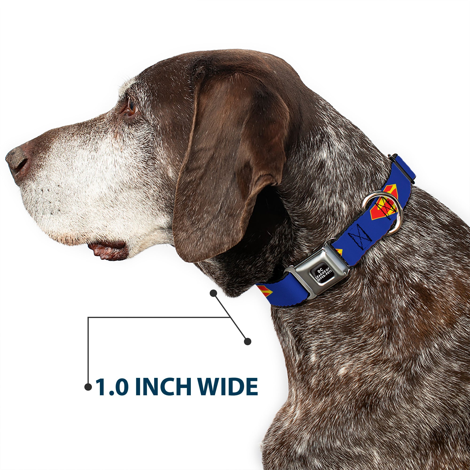 DC LEAGUE OF SUPER-PETS Logo Full Color Black/White Seatbelt Buckle Collar - DC League of Super-Pets Superman Shield Logo Blue/Red/Yellow