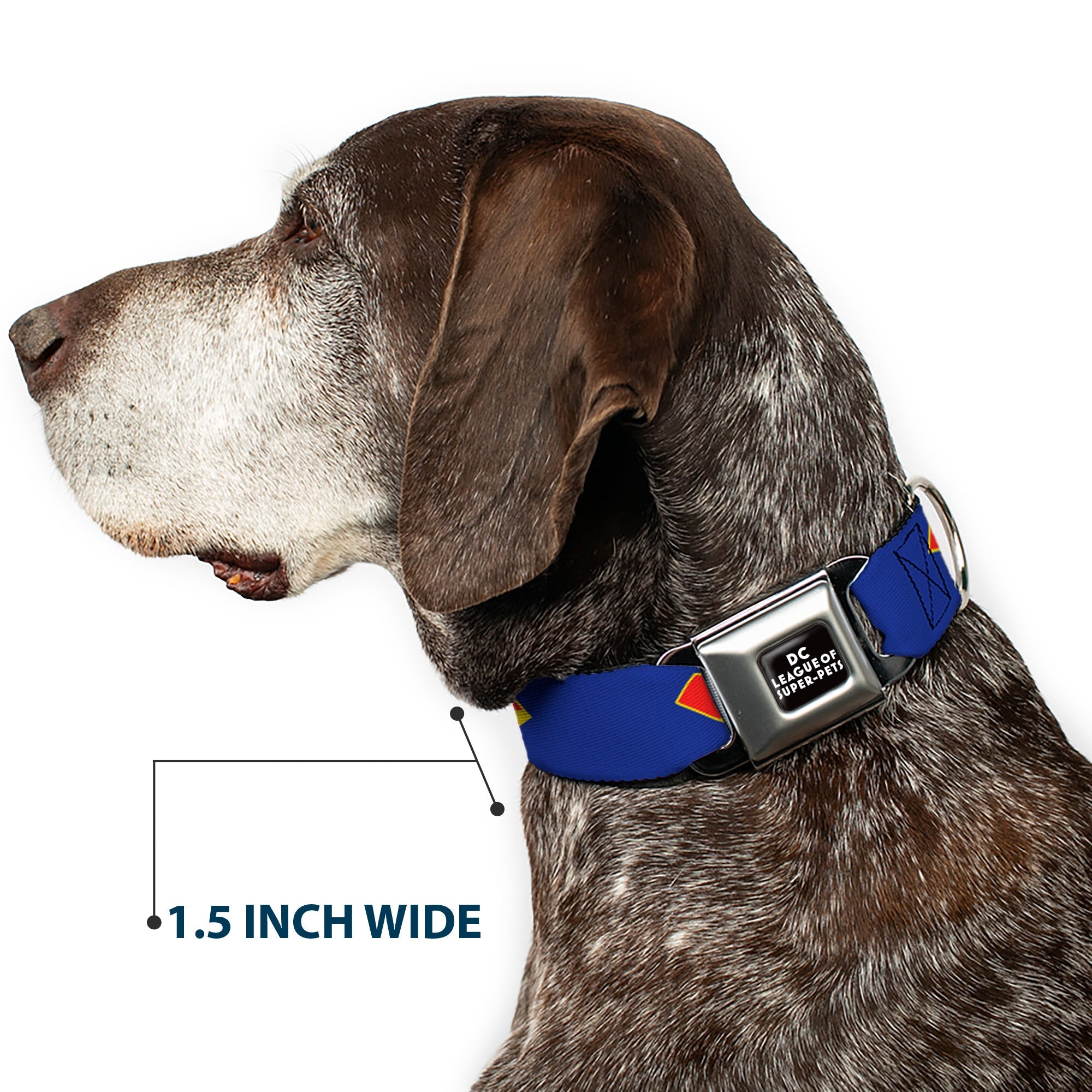 DC LEAGUE OF SUPER-PETS Logo Full Color Black/White Seatbelt Buckle Collar - DC League of Super-Pets Superman Shield Logo Blue/Red/Yellow