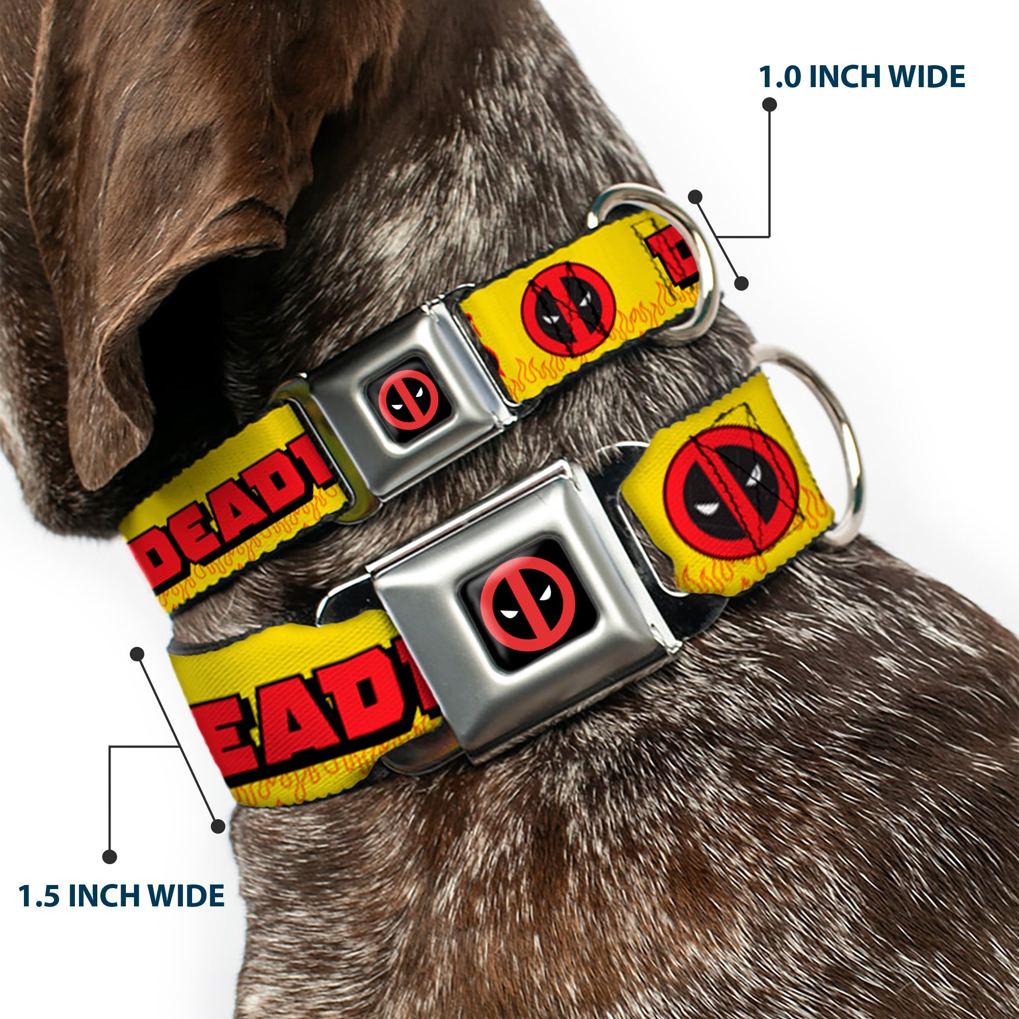 Deadpool Logo CLOSE-UP Full Color Black/Red/White Seatbelt Buckle Collar - DEADPOOLS CHIMICHANGAS Flames Yellow/Black/Red