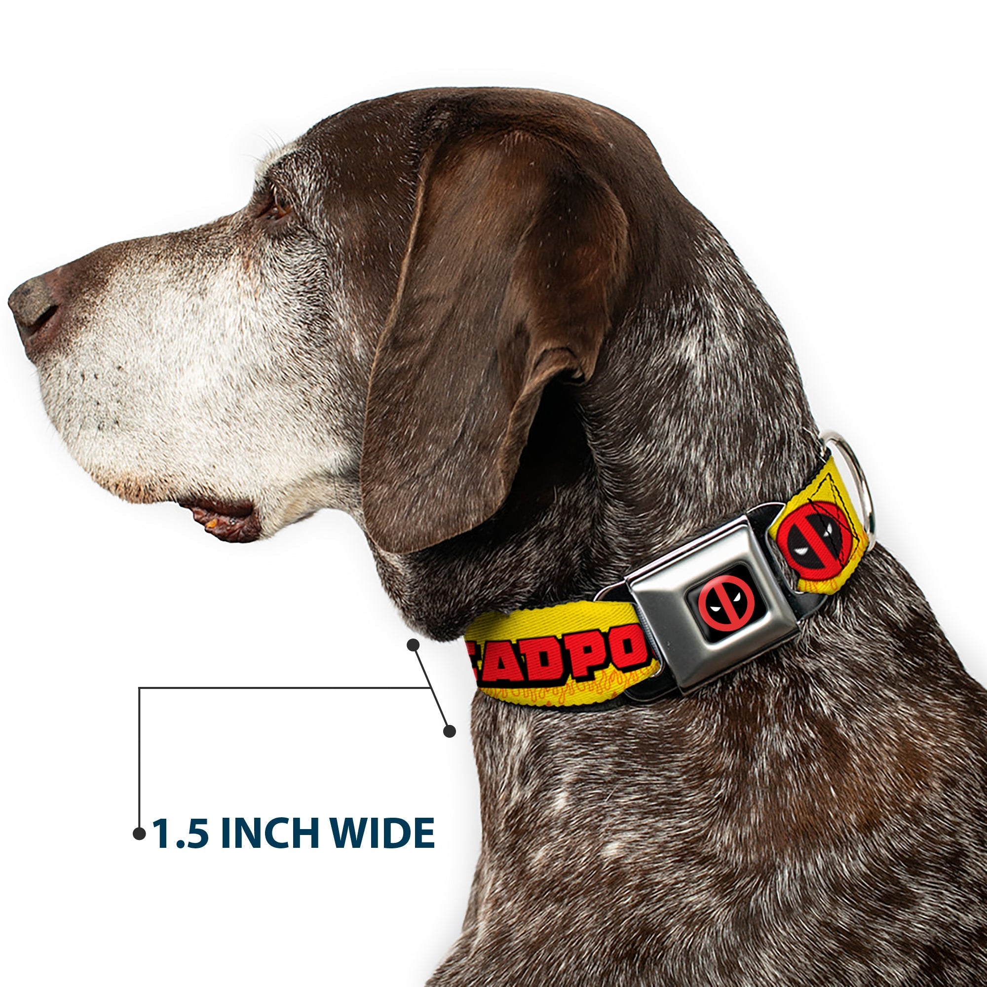 Deadpool Logo CLOSE-UP Full Color Black/Red/White Seatbelt Buckle Collar - DEADPOOLS CHIMICHANGAS Flames Yellow/Black/Red