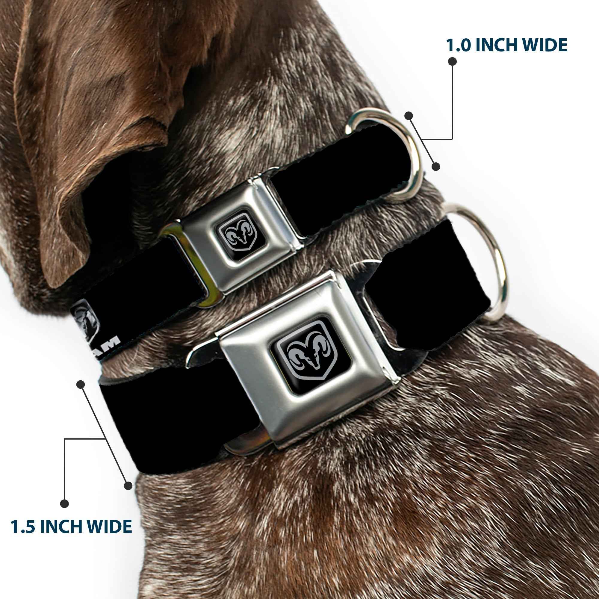 Buckle-Down Ram Black/Silver Seatbelt Buckle Dog Collar - Ram Black/Silver Logo Repeat