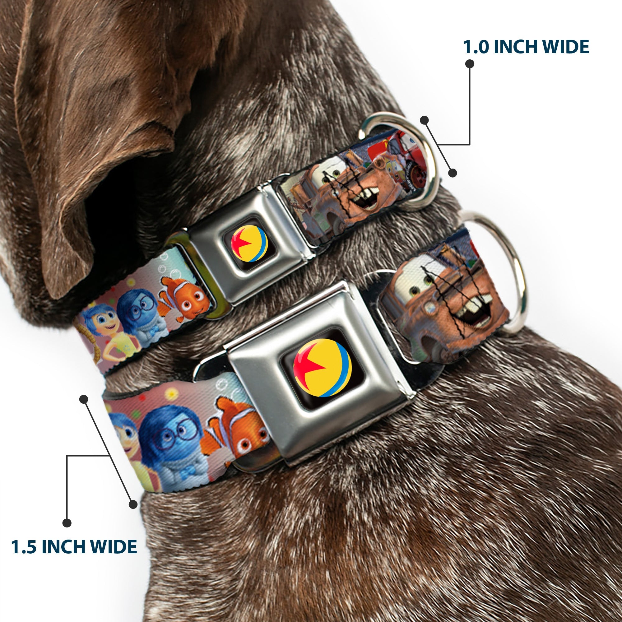 Disney Pixar Luxo Ball Full Color Black/Yellow/Blue/Red Seatbelt Buckle Collar - Disney Pixar 7-Movie Character Collage