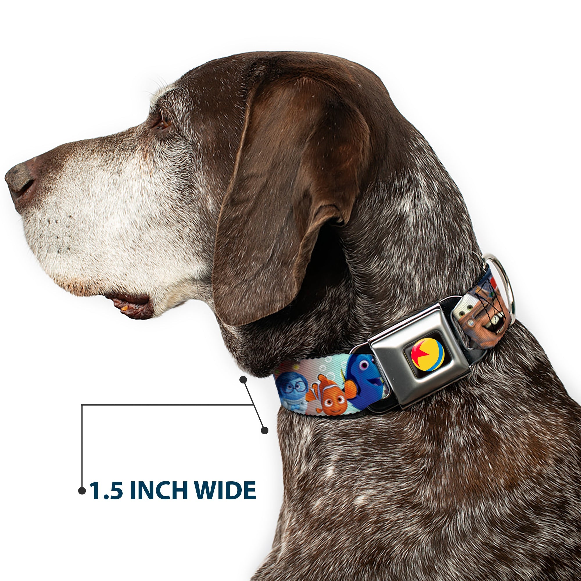 Disney Pixar Luxo Ball Full Color Black/Yellow/Blue/Red Seatbelt Buckle Collar - Disney Pixar 7-Movie Character Collage