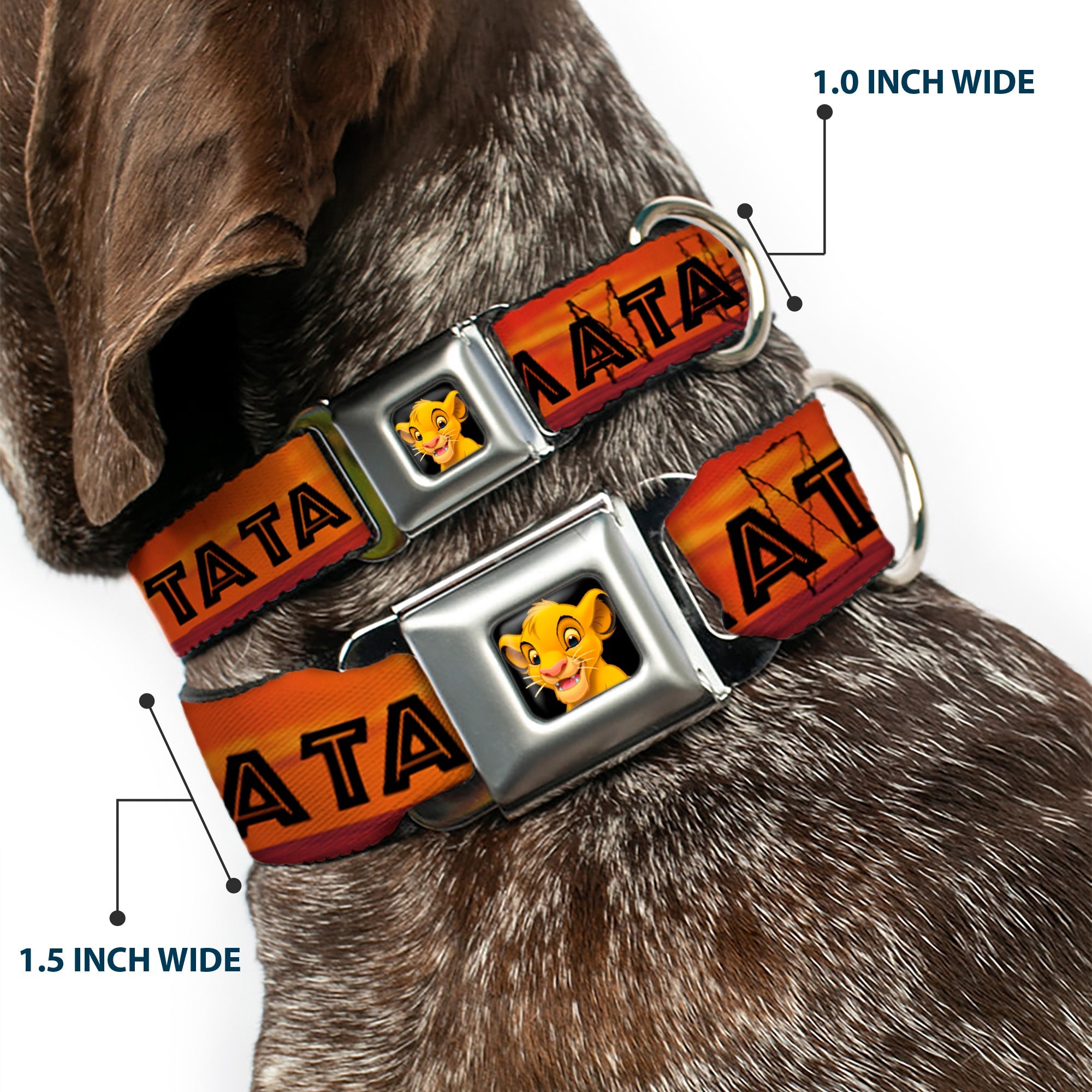 Simba2 CLOSE-UP Full Color Seatbelt Buckle Collar - Lion King HAKUNA MATATA Sunset Oranges/Black