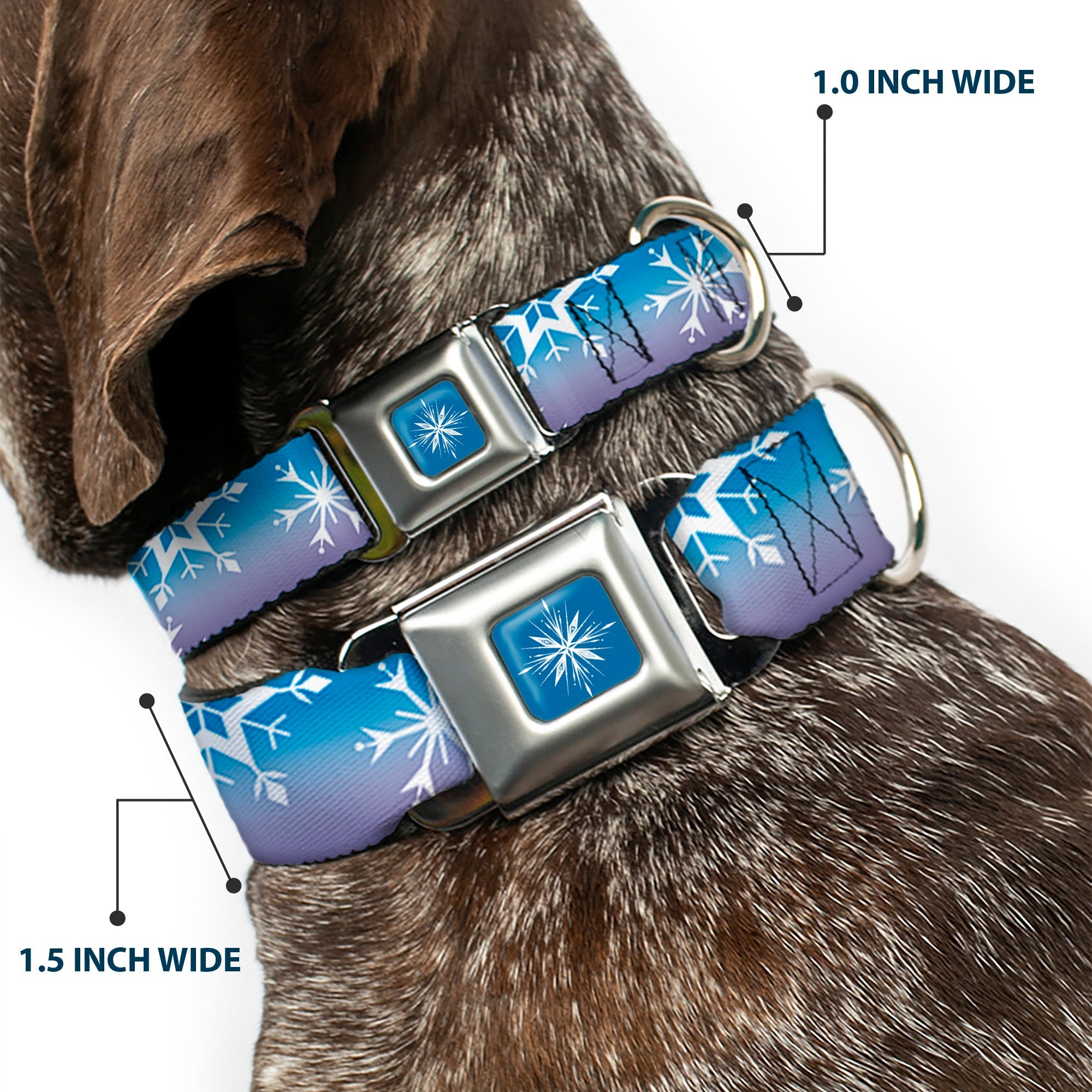 Frozen II Snowflake Full Color Blue/White Seatbelt Buckle Collar - Frozen II Snowflakes Blues/Purples/White