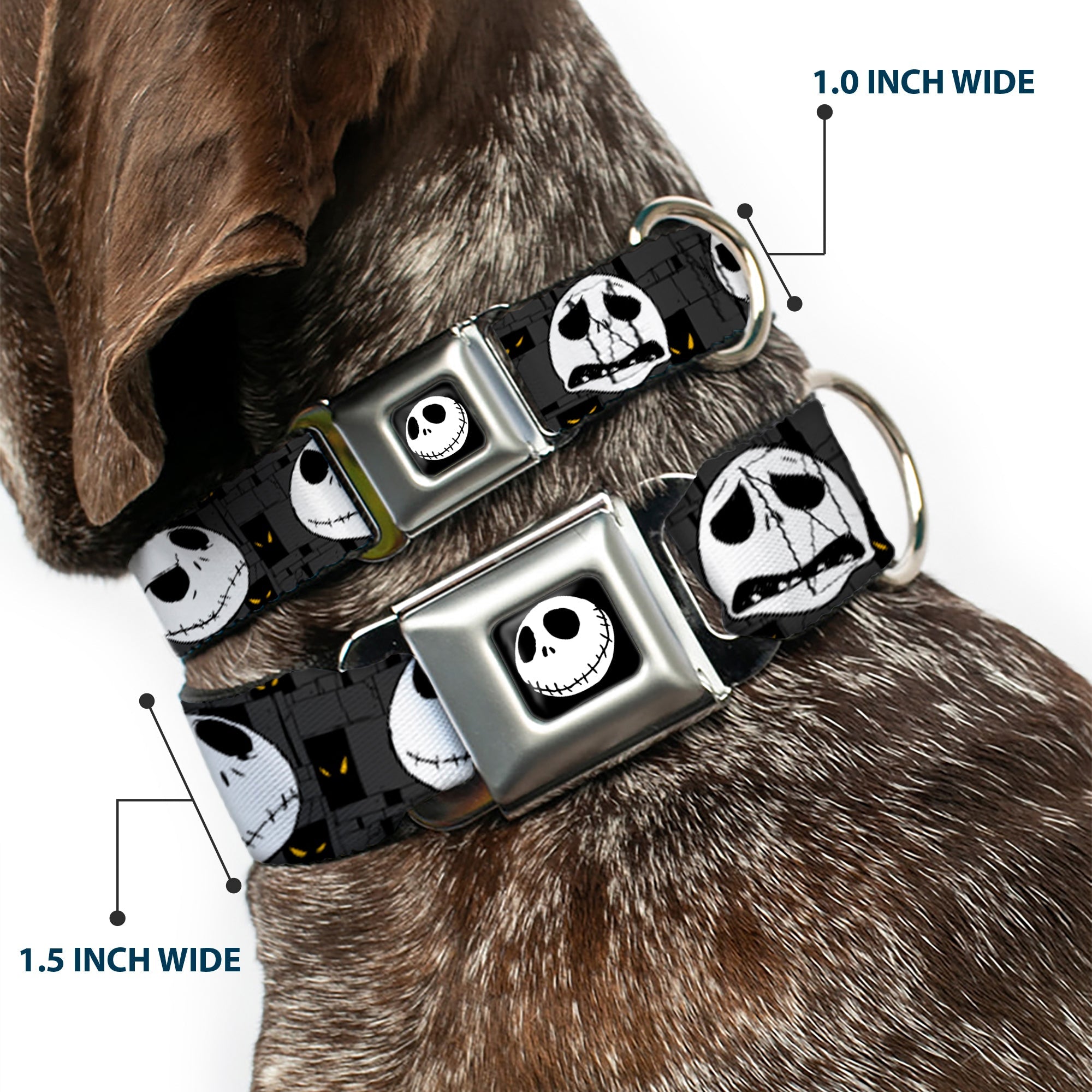 Jack Smile Full Color Seatbelt Buckle Collar - Nightmare Before Christmas Jack Expressions Gray