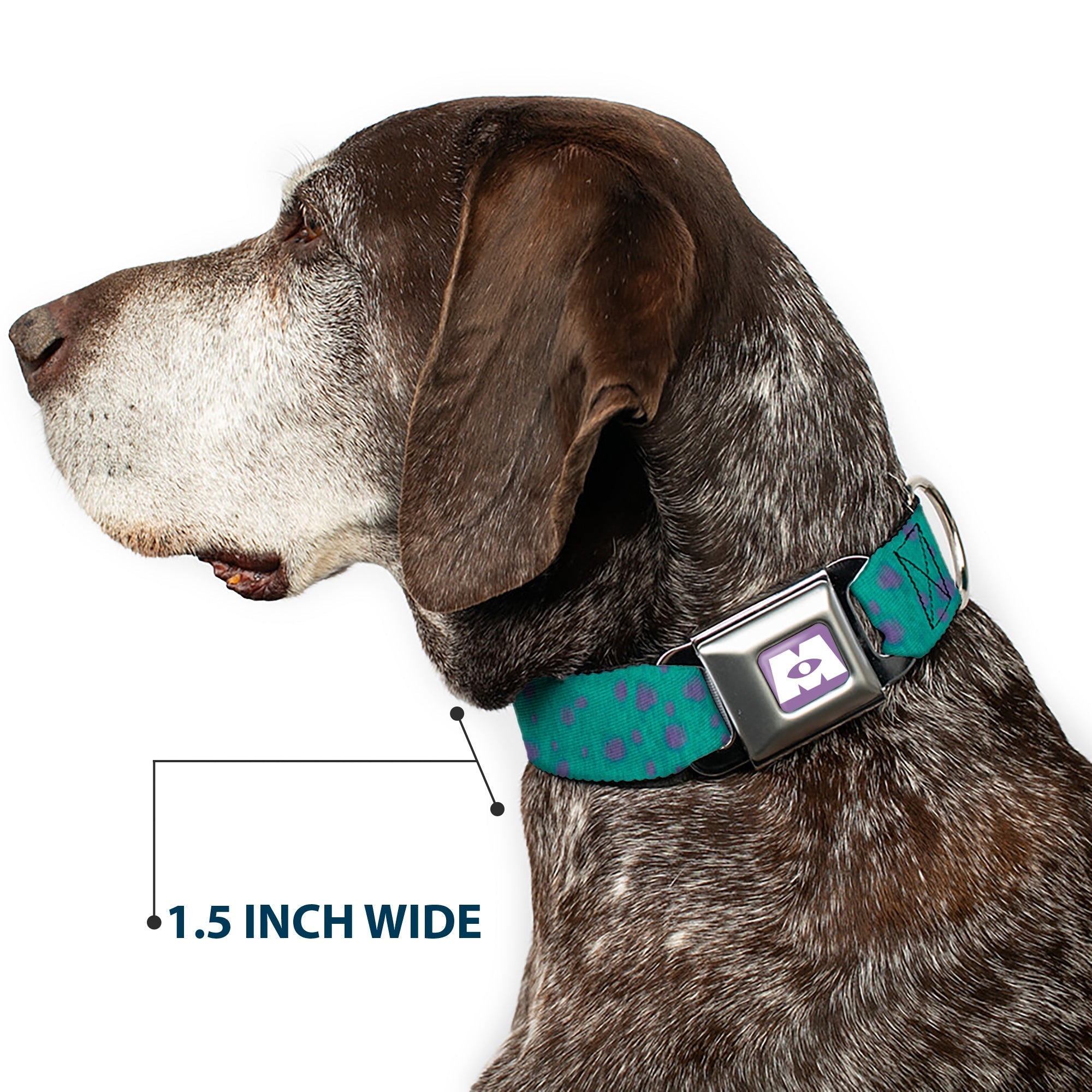 Monsters Inc. Icon Full Color Purple/White Seatbelt Buckle Collar - Monsters Inc. Sulley Bounding Spots Blue/Purple