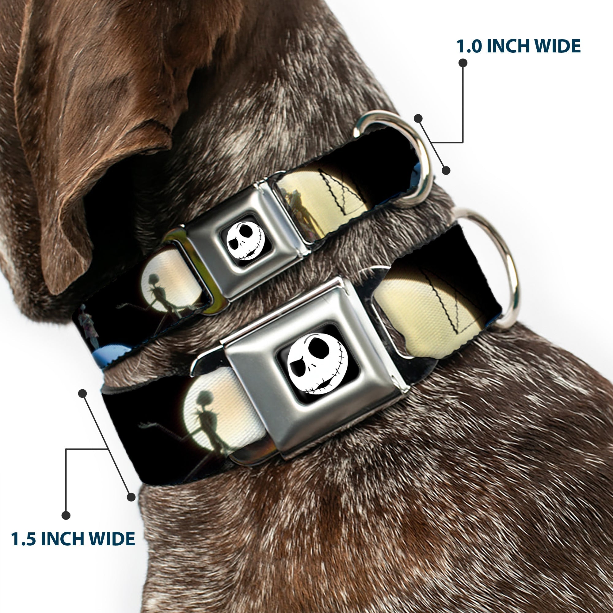 Jack Expression2 Full Color Seatbelt Buckle Collar - NBC Jack & Sally Moon Scenes