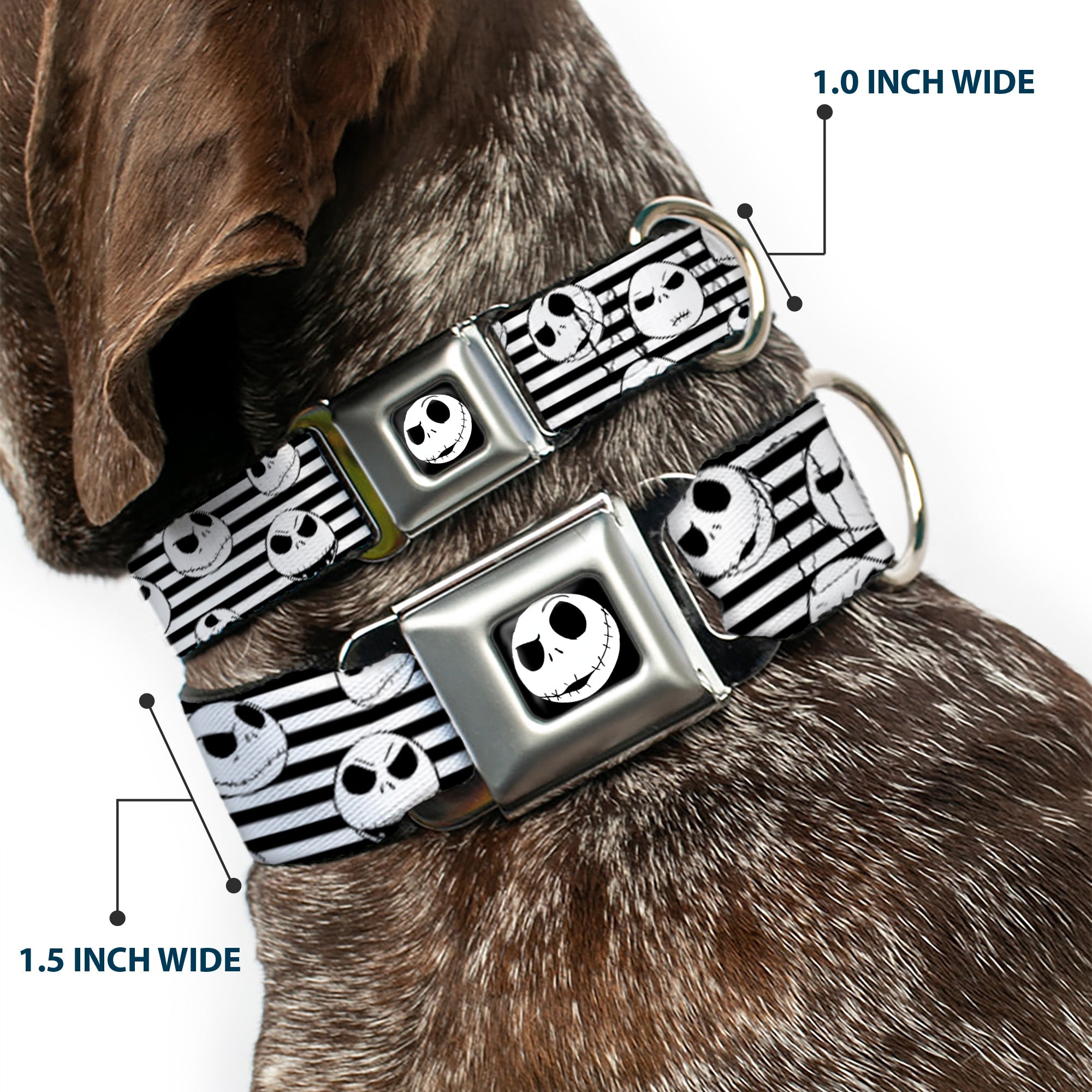 Jack Expression2 Full Color Seatbelt Buckle Collar - Jack Expressions/Stripe White/Black