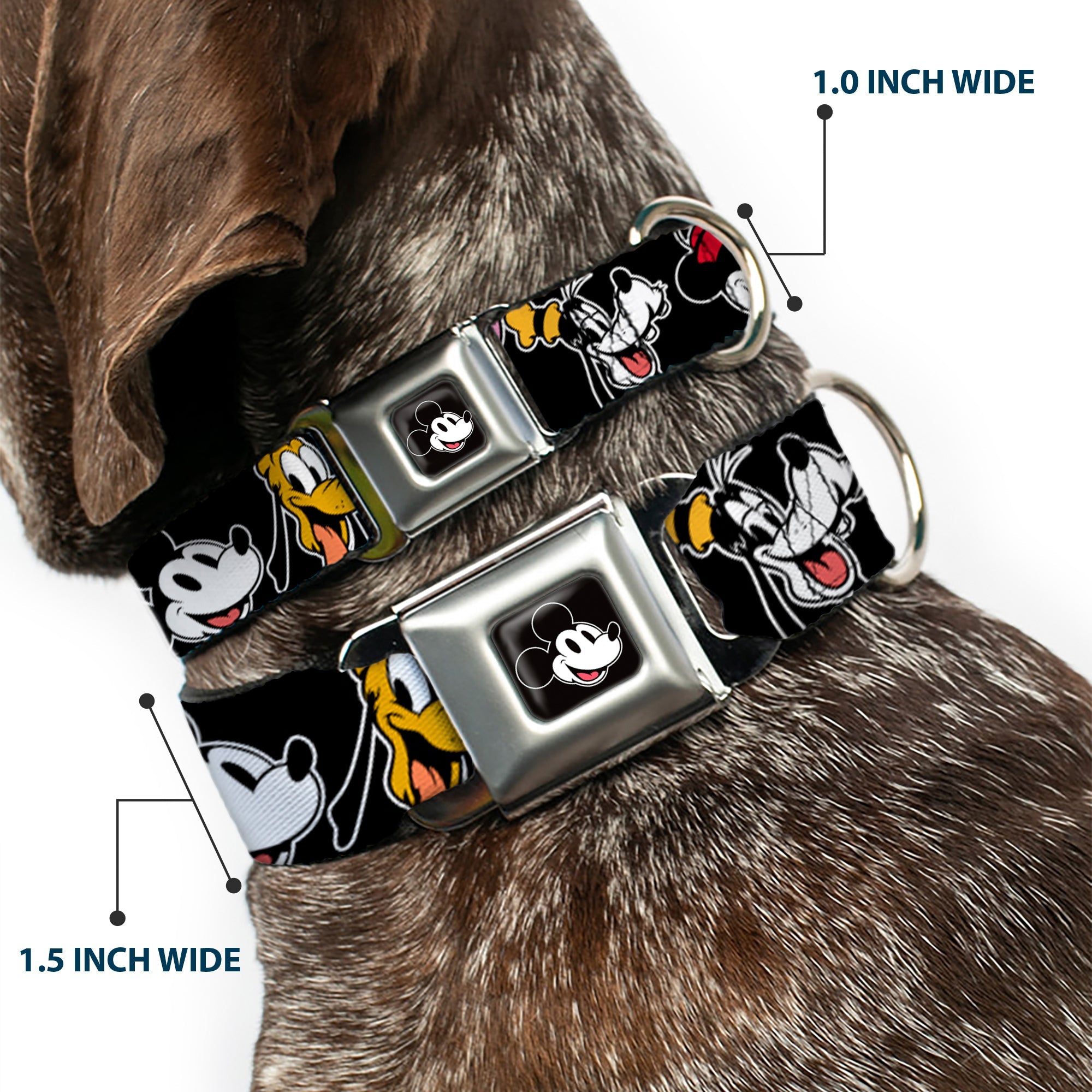 Mickey Mouse Smiling Face Full Color Black Seatbelt Buckle Collar - Disney The Sensational Six Smiling Faces Black