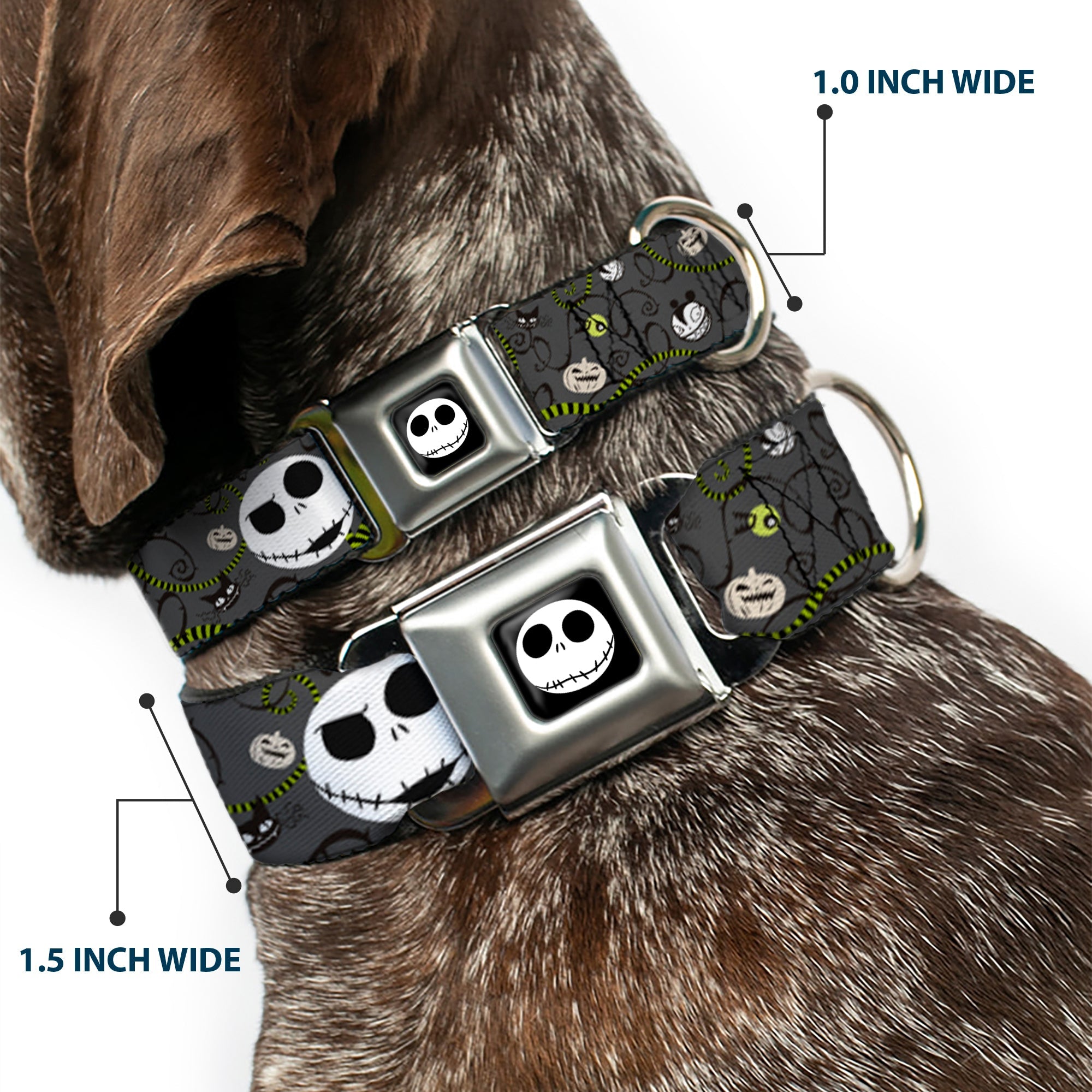 Jack Expression4 Full Color Seatbelt Buckle Collar - NBC Jack Expressions/Halloween Elements Gray