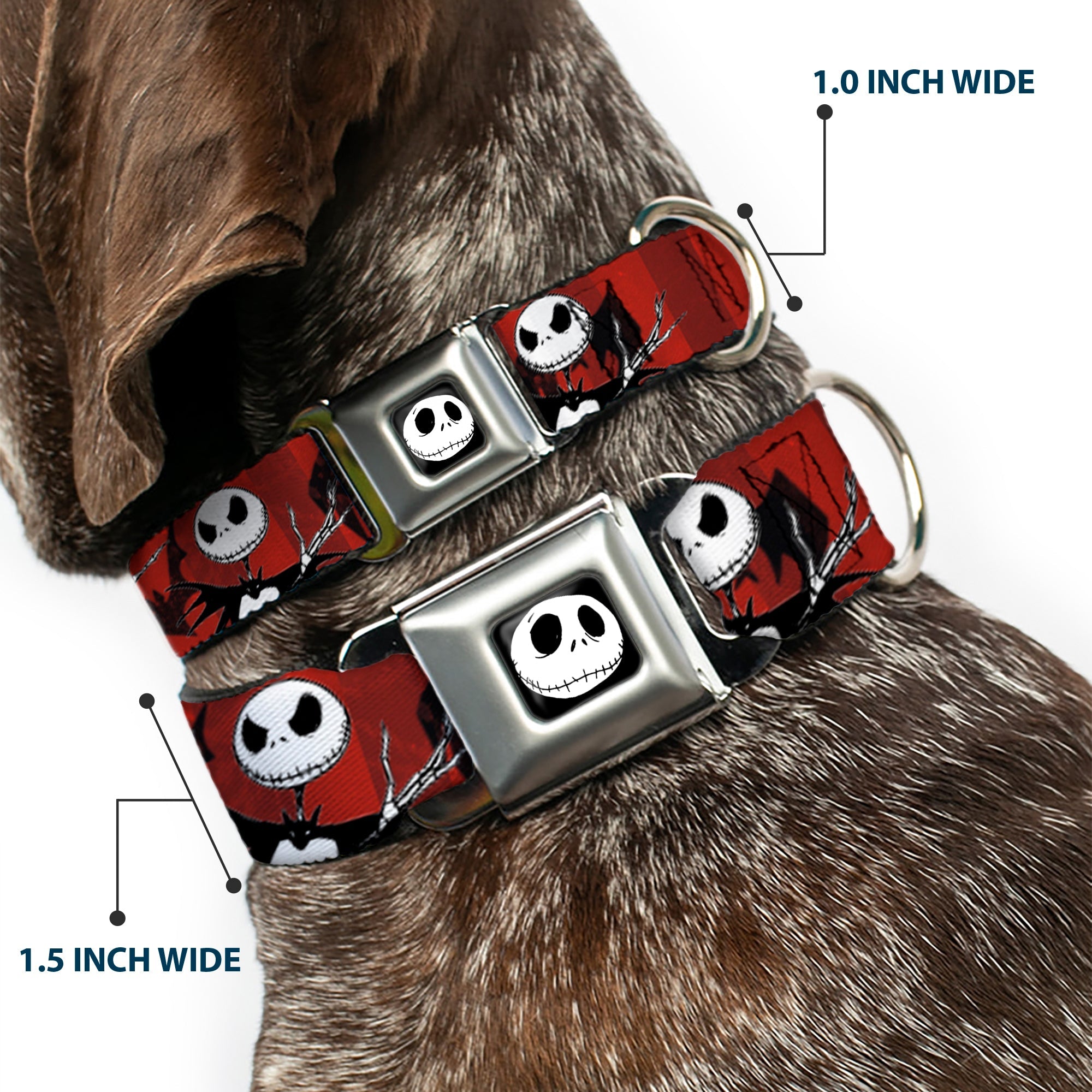 Jack Expression5 Full Color Seatbelt Buckle Collar - Nightmare Before Christmas Jack Poses/Bats Red Stripe
