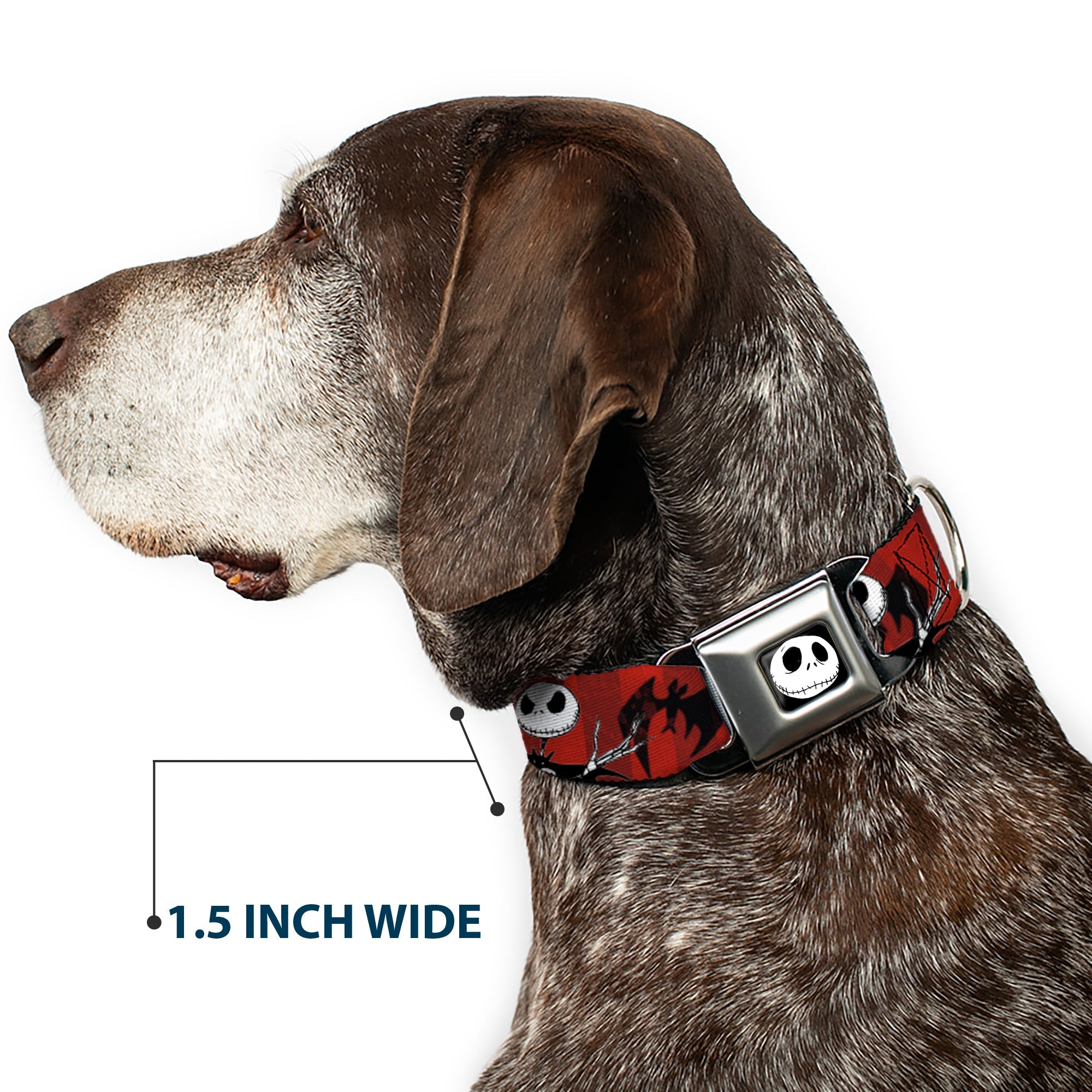 Jack Expression5 Full Color Seatbelt Buckle Collar - Nightmare Before Christmas Jack Poses/Bats Red Stripe