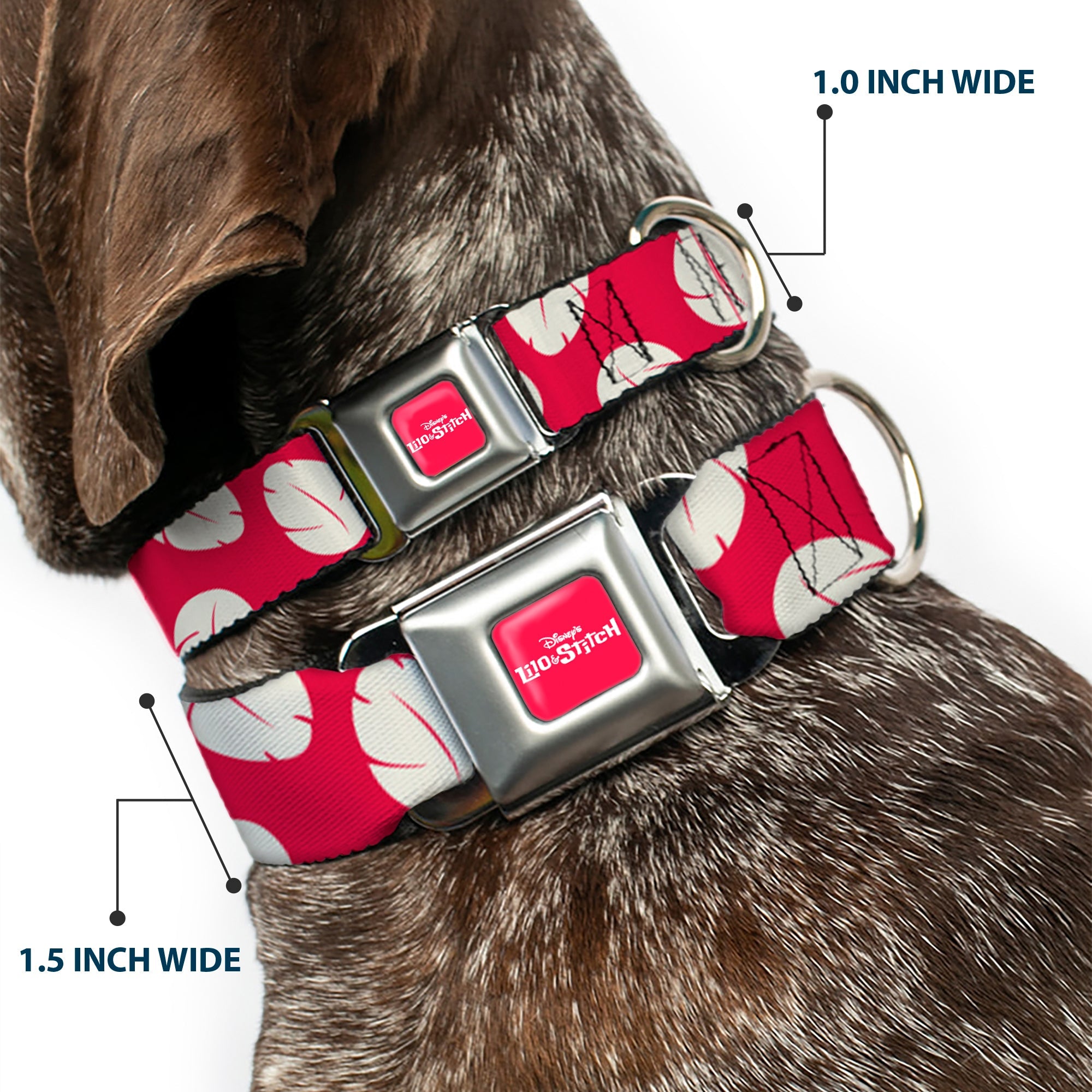 Disneys LILO & STITCH Title Logo Full Color Red/White Seatbelt Buckle Collar - Lilo & Stitch Bounding Lilo Dress Leaves Red/Ivory