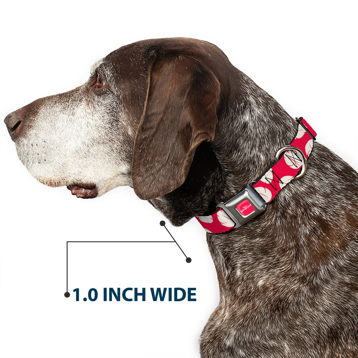 Disneys LILO & STITCH Title Logo Full Color Red/White Seatbelt Buckle Collar - Lilo & Stitch Bounding Lilo Dress Leaves Red/Ivory