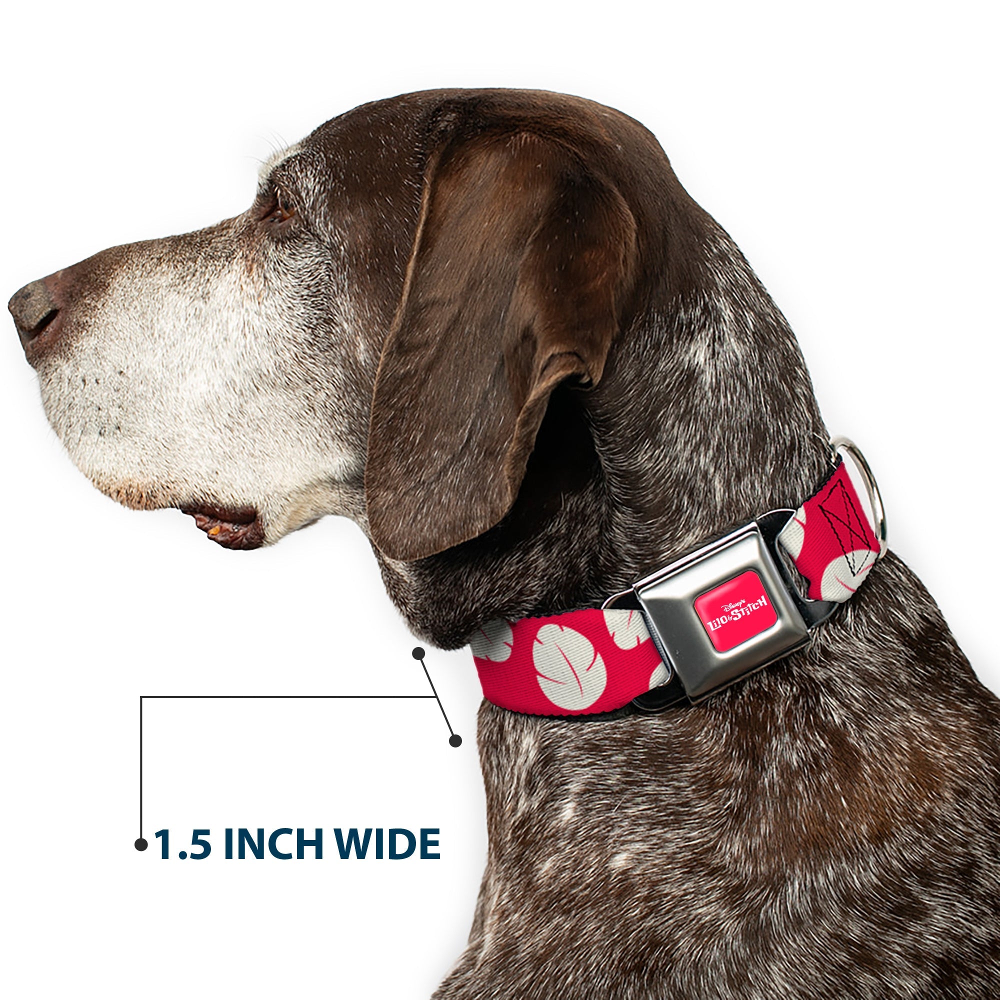 Disneys LILO & STITCH Title Logo Full Color Red/White Seatbelt Buckle Collar - Lilo & Stitch Bounding Lilo Dress Leaves Red/Ivory