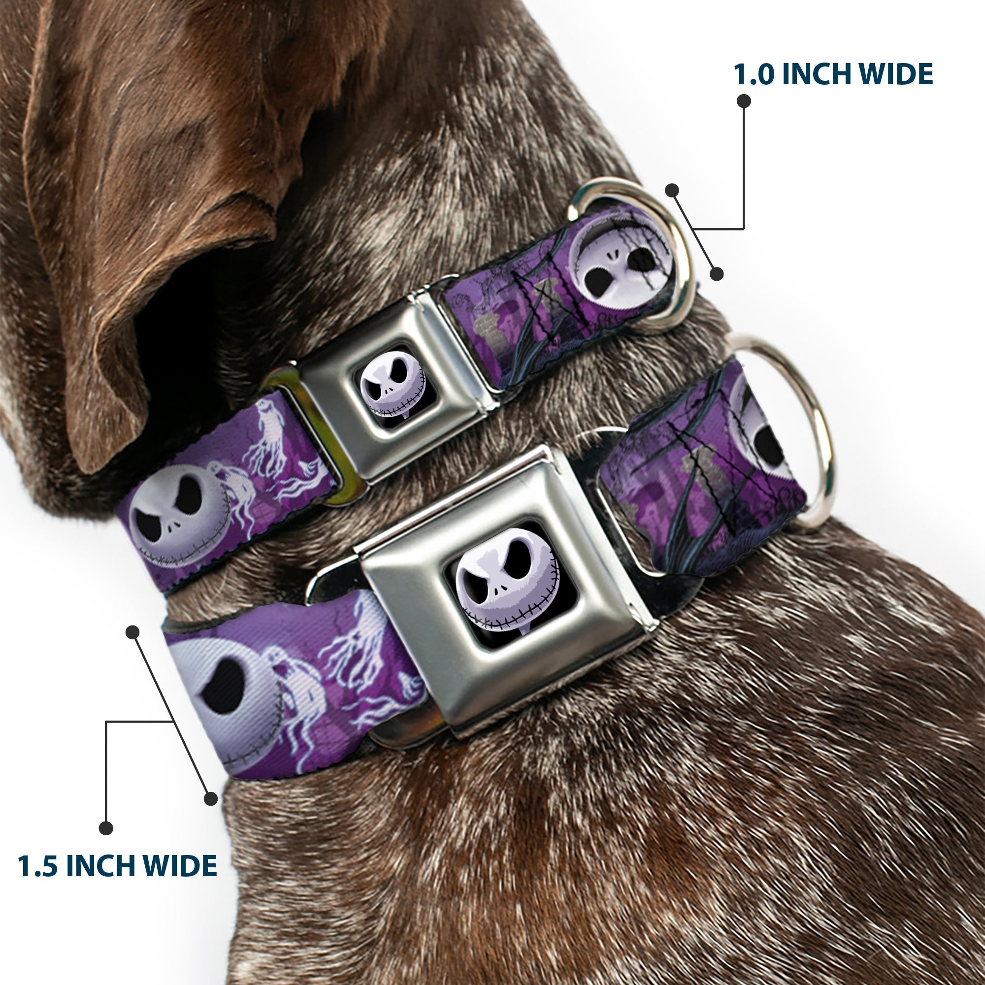 Jack Expression6 Full Color Seatbelt Buckle Collar - Jack Expressions/Ghosts in Cemetery Purples/Grays/White