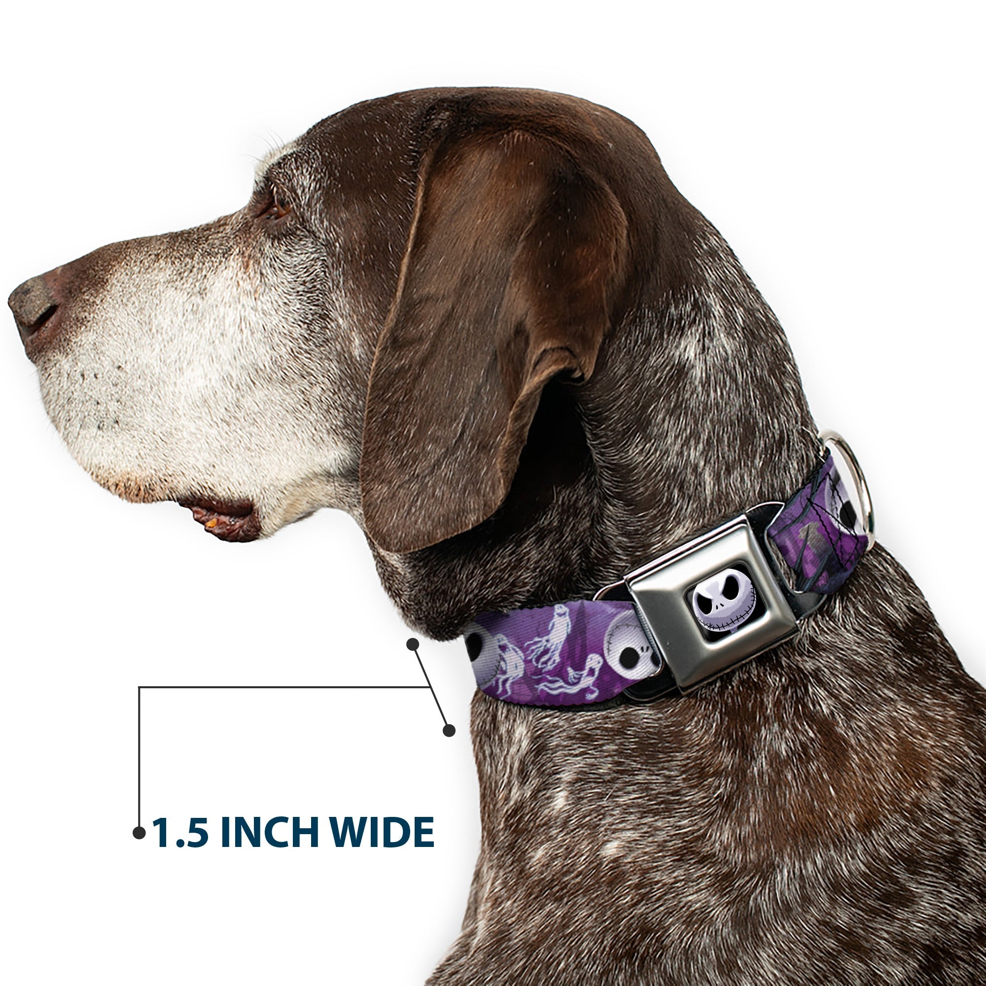 Jack Expression6 Full Color Seatbelt Buckle Collar - Jack Expressions/Ghosts in Cemetery Purples/Grays/White