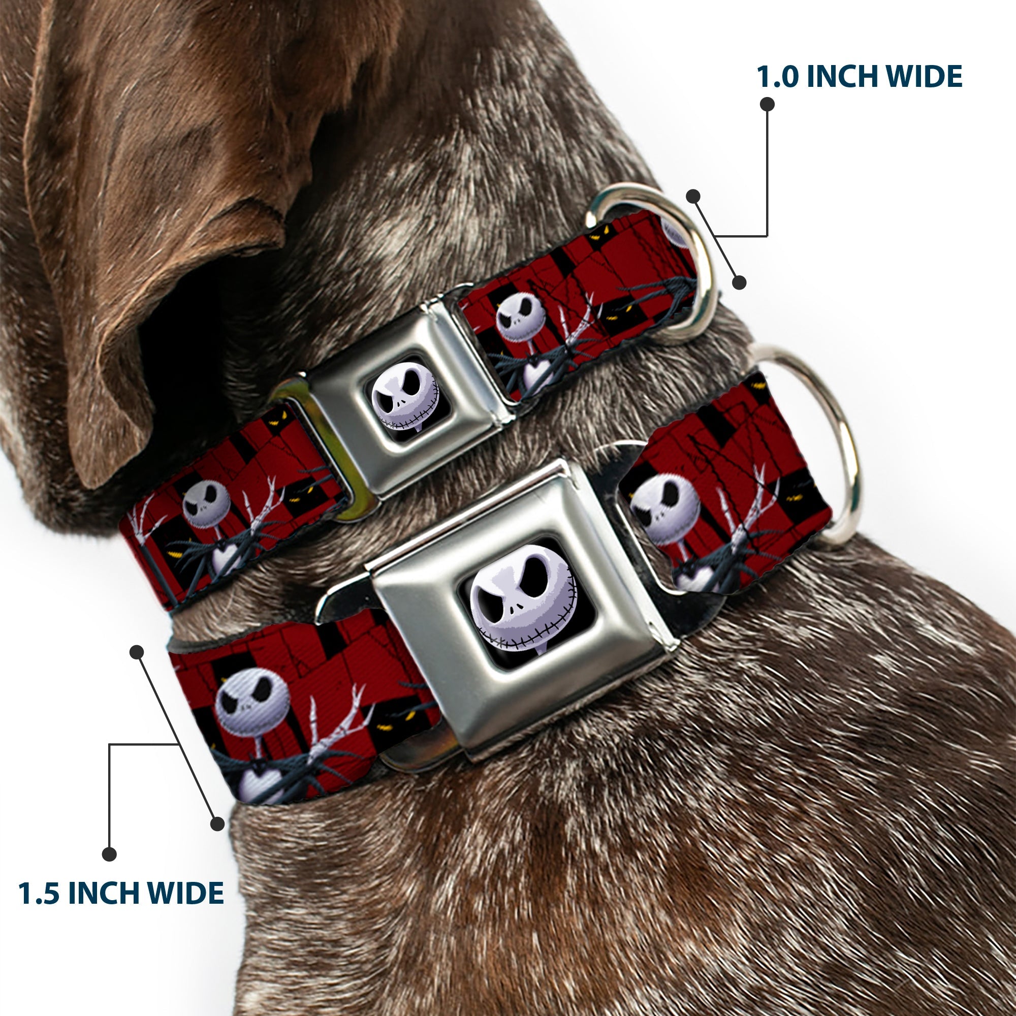 Jack Expression6 Full Color Seatbelt Buckle Collar - Nightmare Before Christmas 3-Jack Poses/Peeping Eyes Burgundy/Black/Yellow