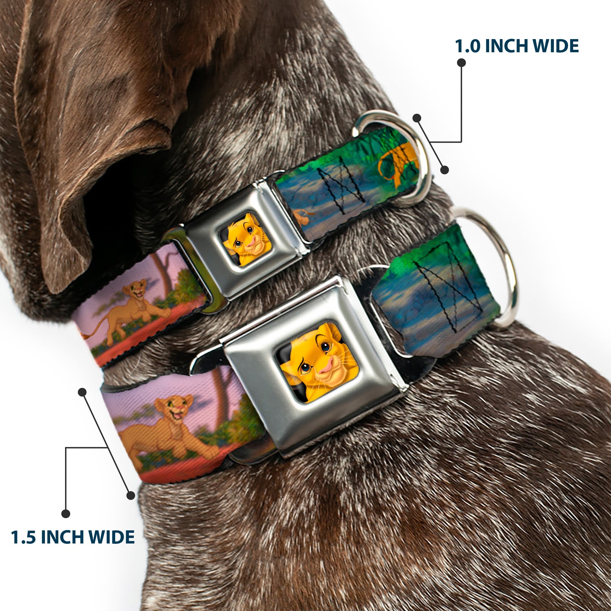 Simba Full Color Seatbelt Buckle Collar - Lion King Simba & Nala Growing Up Scenes