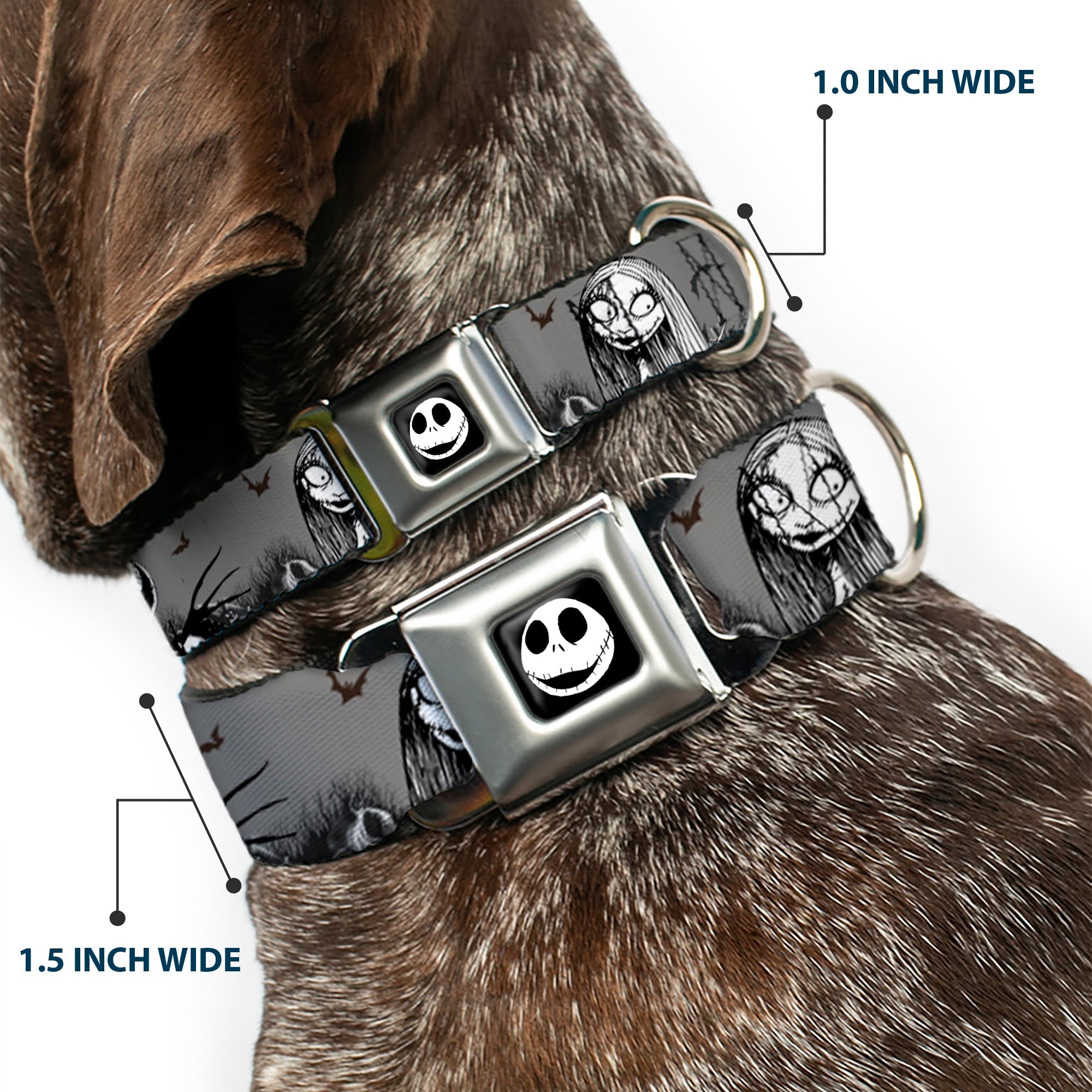 Jack Expression7 Full Color Seatbelt Buckle Collar - NBC Jack & Sally Cemetery Scene Gray/Black/White