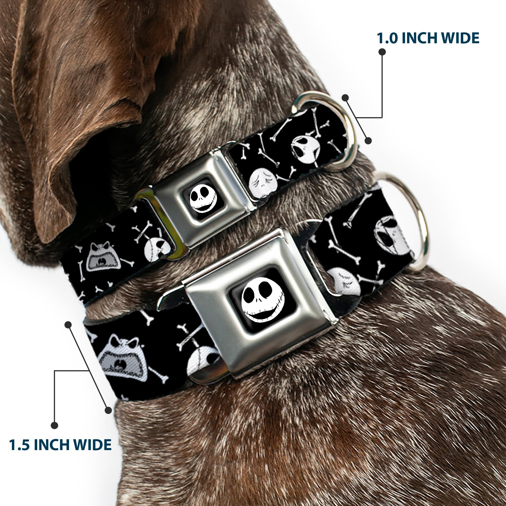 Jack Expressions/Bones Scattered Full Color Black/White Seatbelt Buckle Collar - Jack Expressions/Bones Scattered Black/White