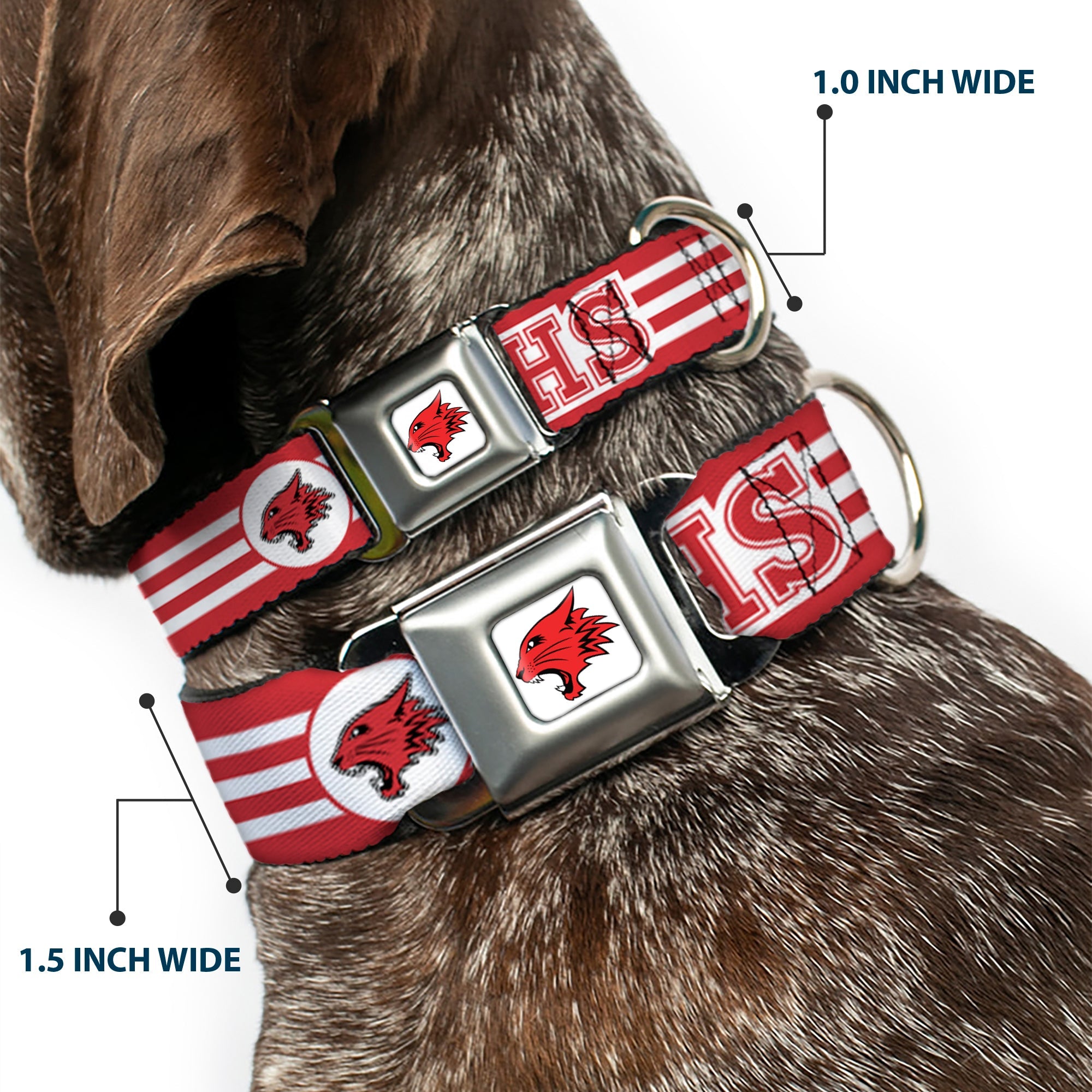 High School Musical East High School Wildcat Logo Full Color White/Red Seatbelt Buckle Collar - High School Musical East High School EHS Wildcats Logo/Stripe White/Red