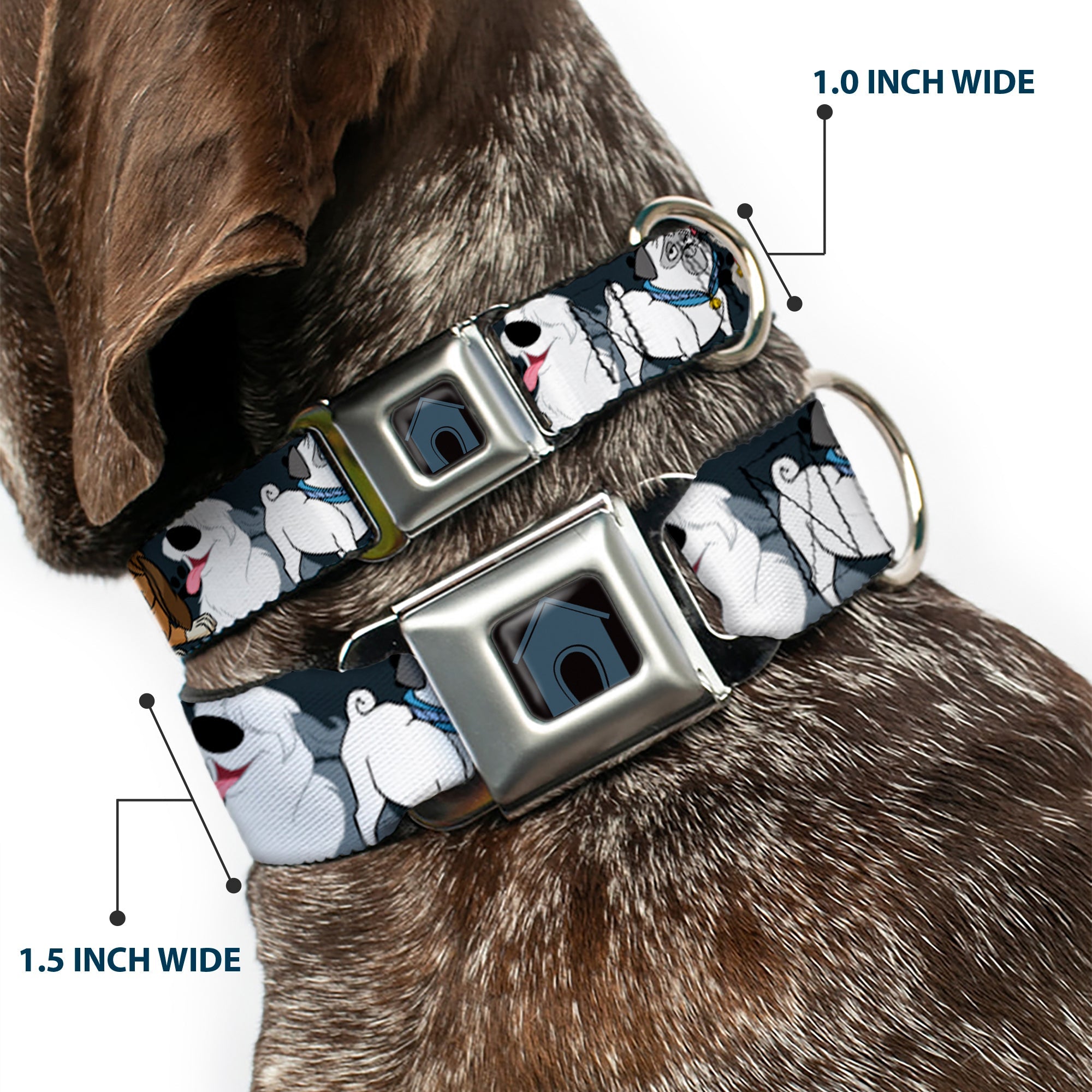 Dog House Full Color Black/Gray Seatbelt Buckle Collar - Disney Dogs 6-Dog Group Collage/Paws Gray/Black