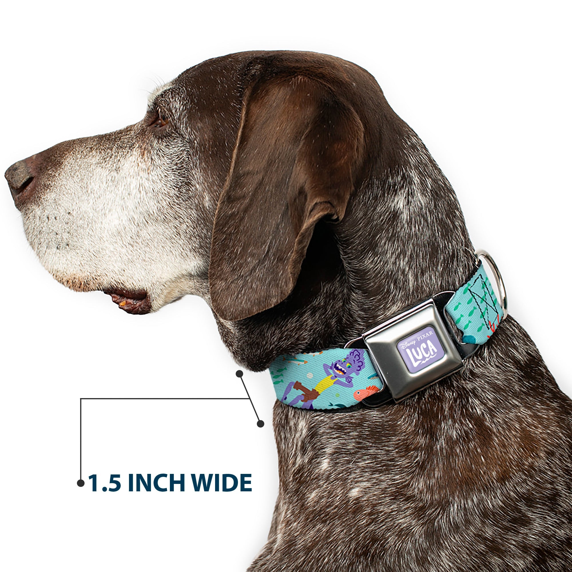 LUCA Logo Full Color Lavender/White Seatbelt Buckle Collar - Luca Isola del Mar Alberto Sea Monster School of Fish Collage