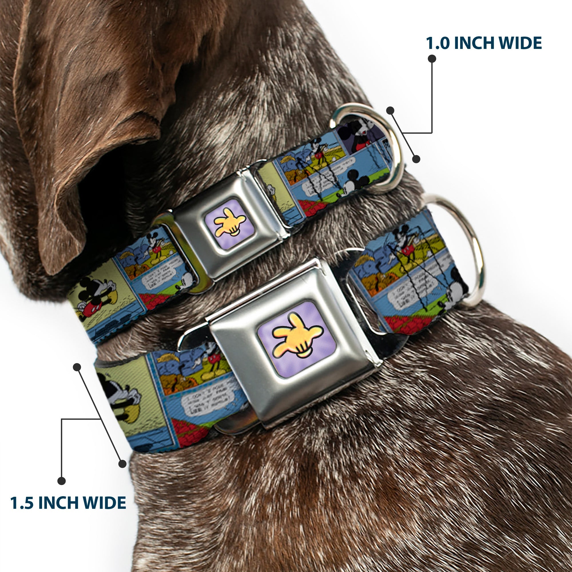 Mickeys Glove Purple Rays Full Color Seatbelt Buckle Collar - Mickey & Minnie Comic Strip