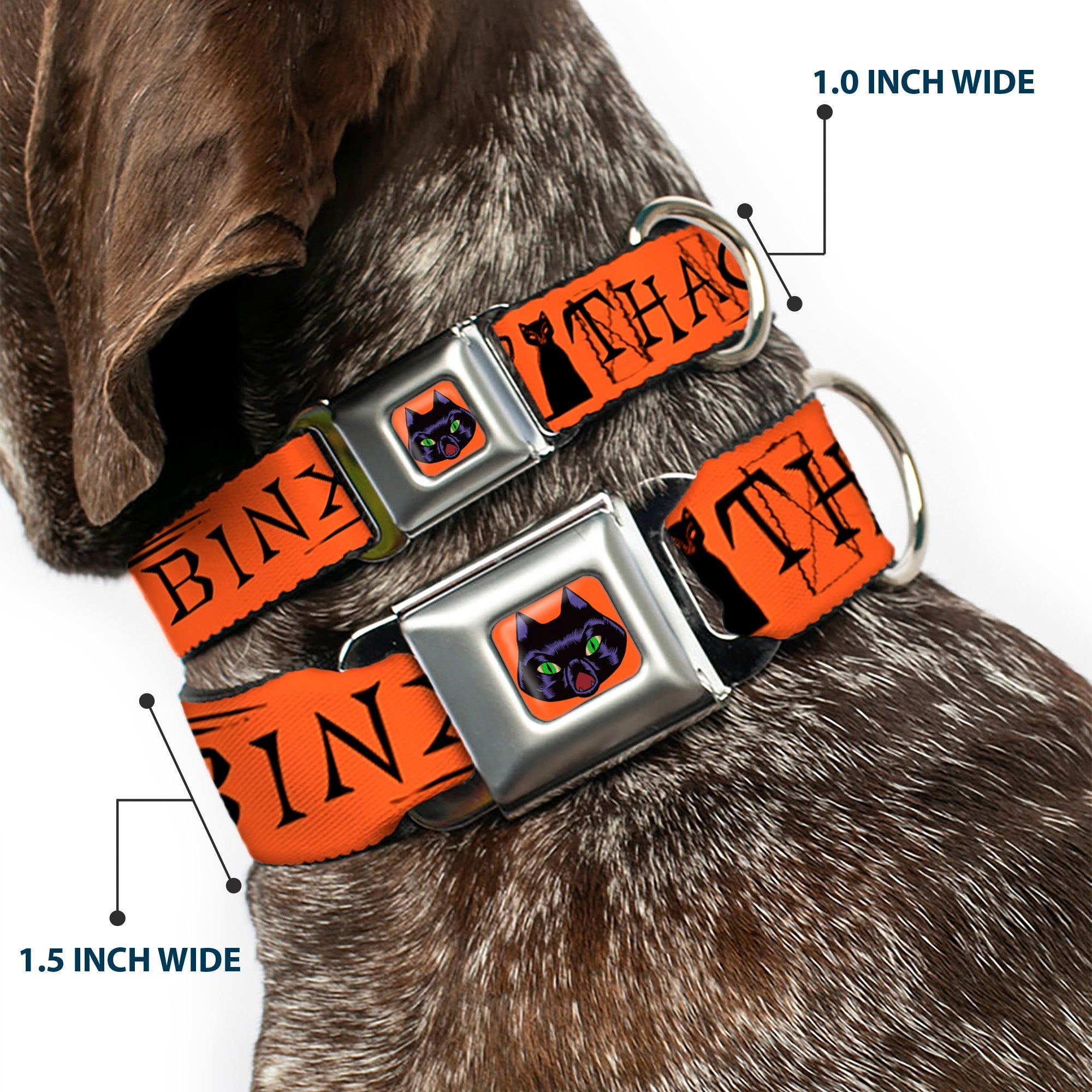 Hocus Pocus Thackery Binx Cat Face Full Color Orange Seatbelt Buckle Collar - Hocus Pocus THACKERY BINX Cat Silhouette Orange/Black
