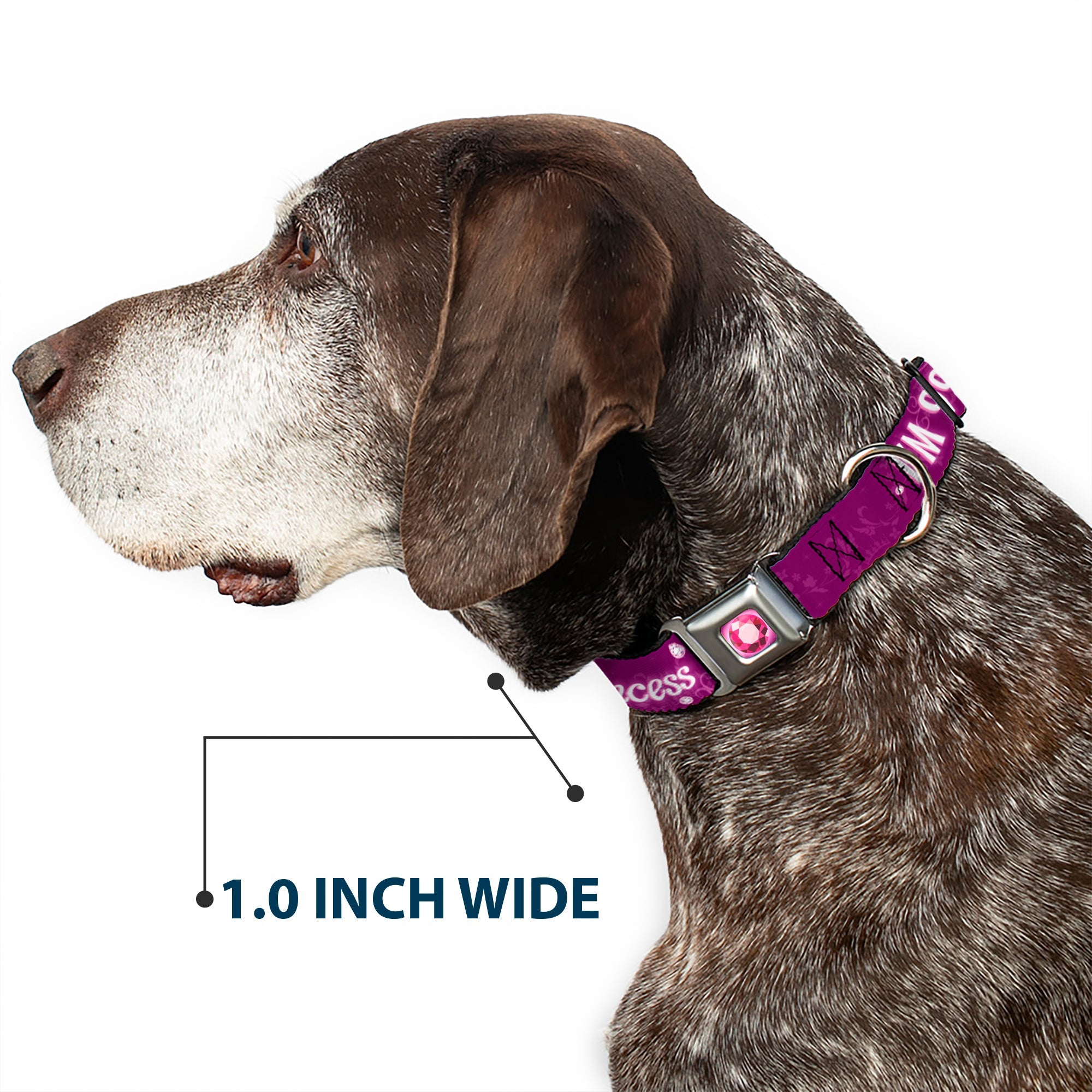 Princess Gem Full Color Fuchsia Seatbelt Buckle Collar - IM 99.9% SURE IM A DISNEY PRINCESS Pinks/White