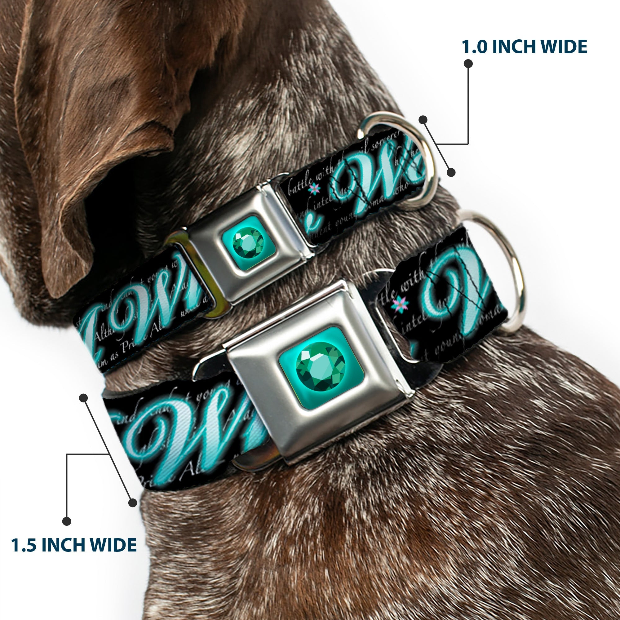 Princess Gem Full Color Turquoise Seatbelt Buckle Collar - Aladdin A WHOLE NEW WORLD/Story Script