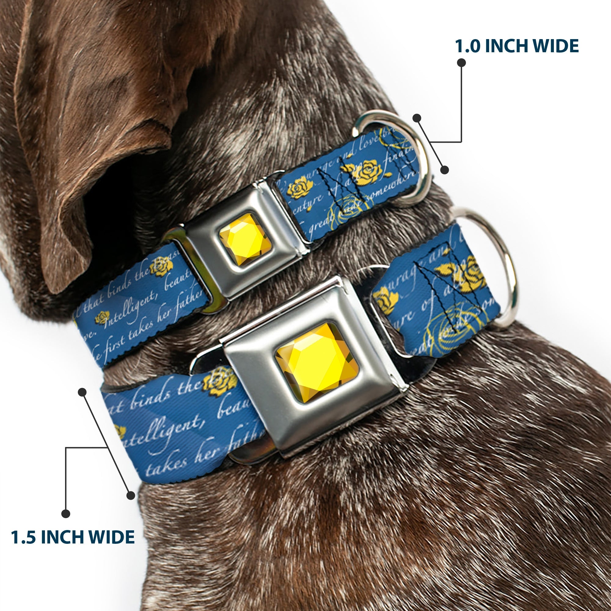 Princess Gem CLOSE-UP Full Color Yellow Seatbelt Buckle Collar - Beauty & the Beast Story Script