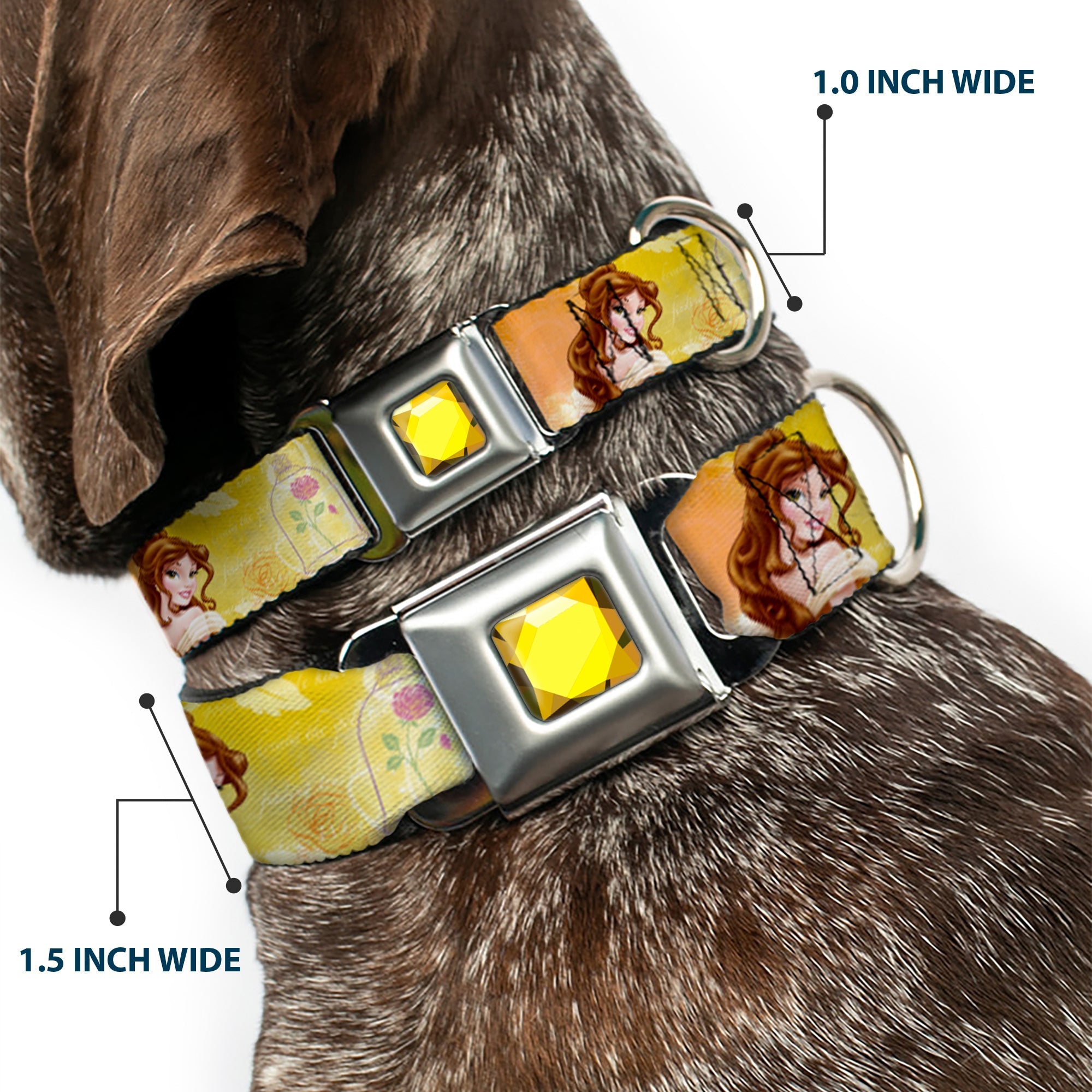 Princess Gem CLOSE-UP Full Color Yellow Seatbelt Buckle Collar - Belle Poses/Enchanted Rose/Story Script Yellow/Pinks