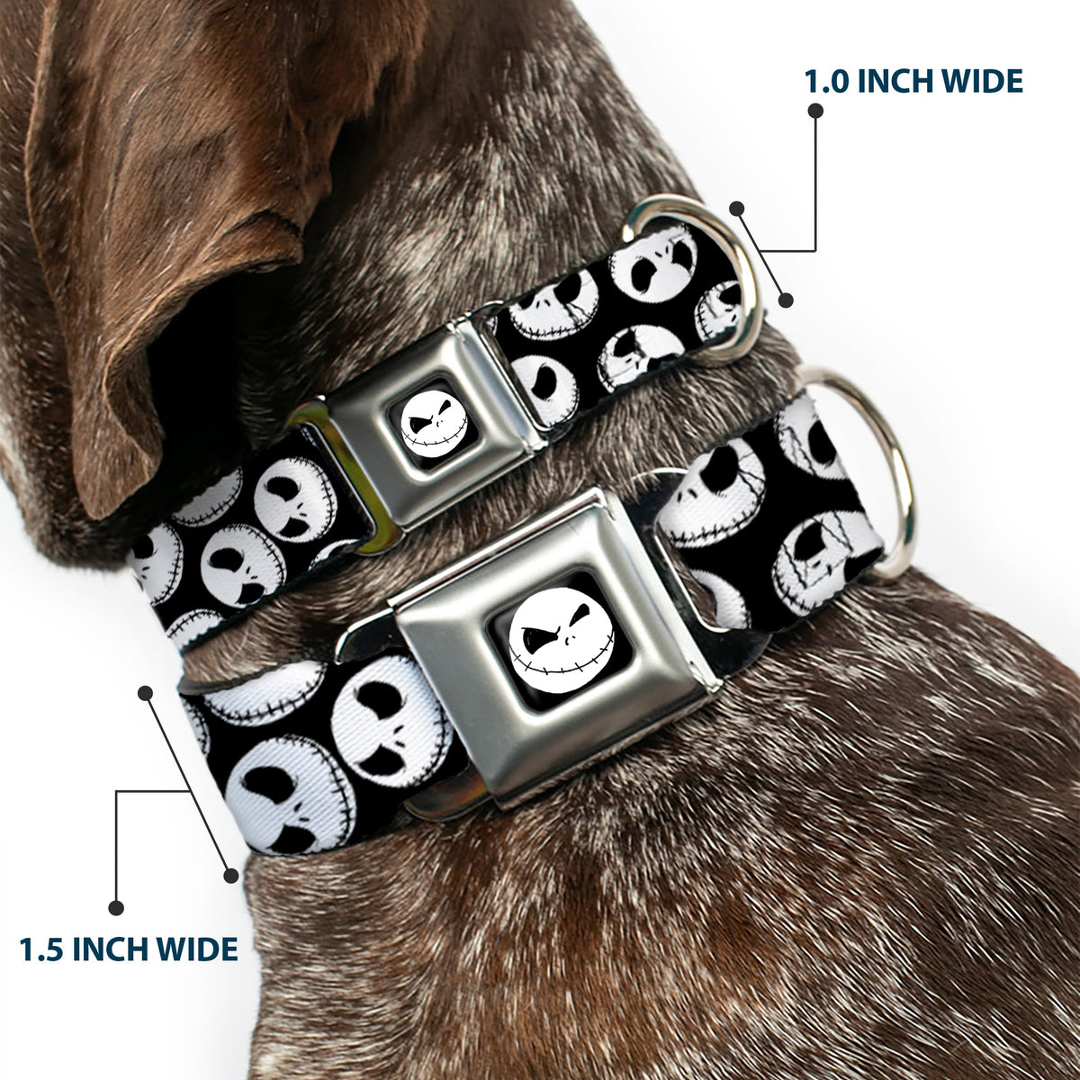 Jack Expression9 Full Color Seatbelt Buckle Collar - NBC Jack Expressions Scattered Black/White