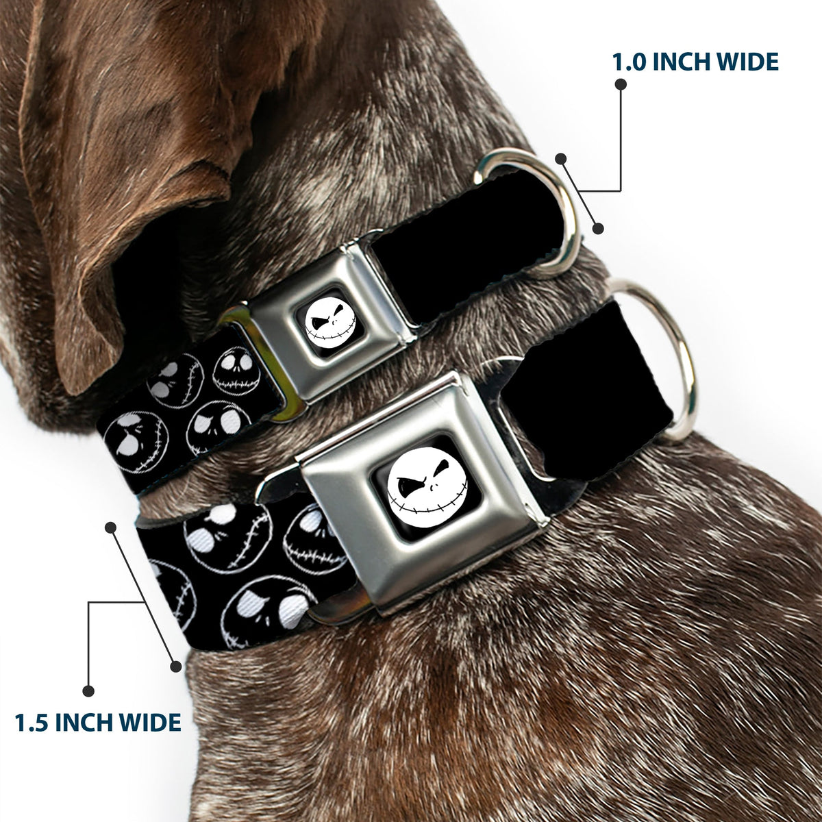 Jack Expression8 Full Color Seatbelt Buckle Collar - Jack Outline Expressions Scattered Black/White