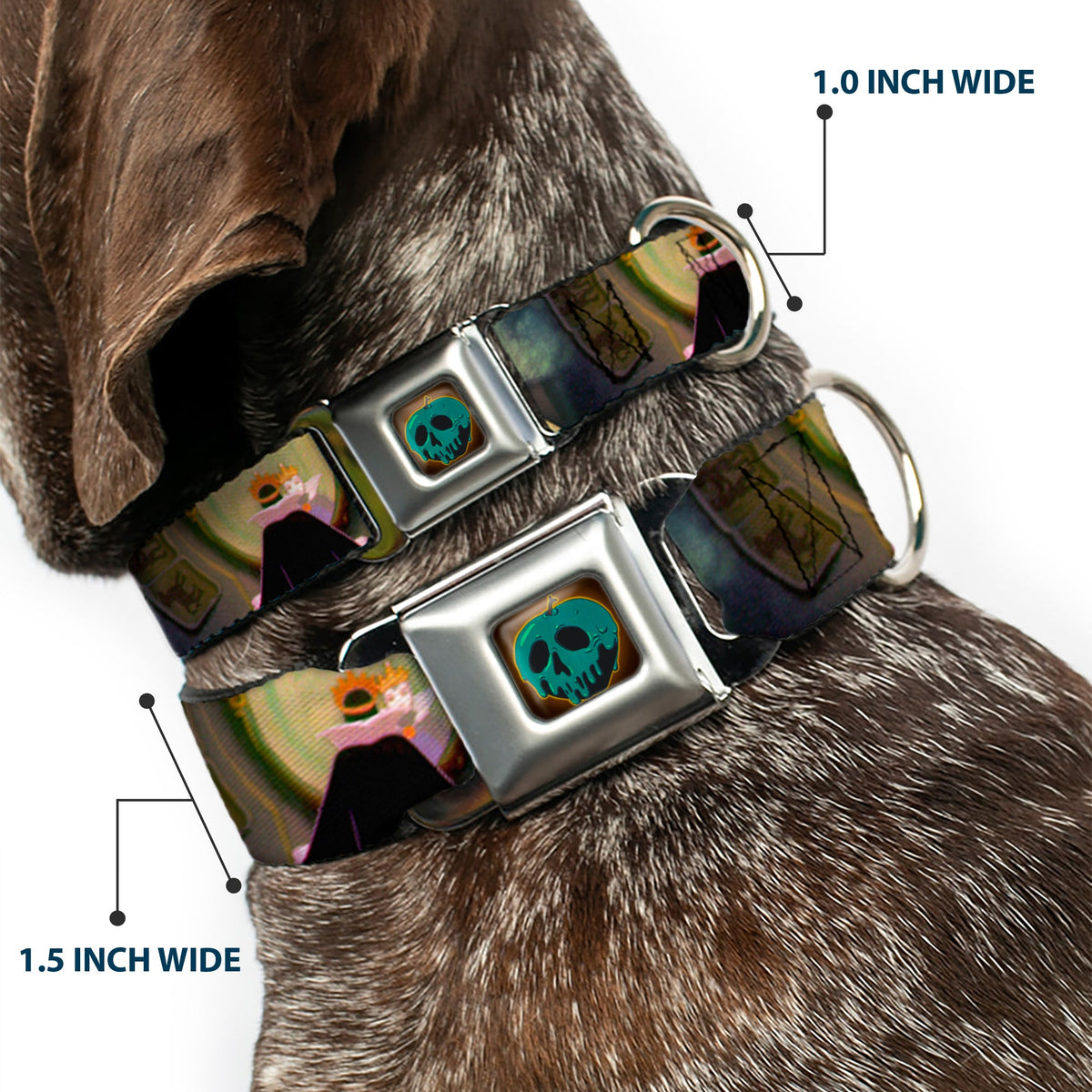 Snow White Poisoned Apple Full Color Seatbelt Buckle Collar - Snow White Evil Queen Poses