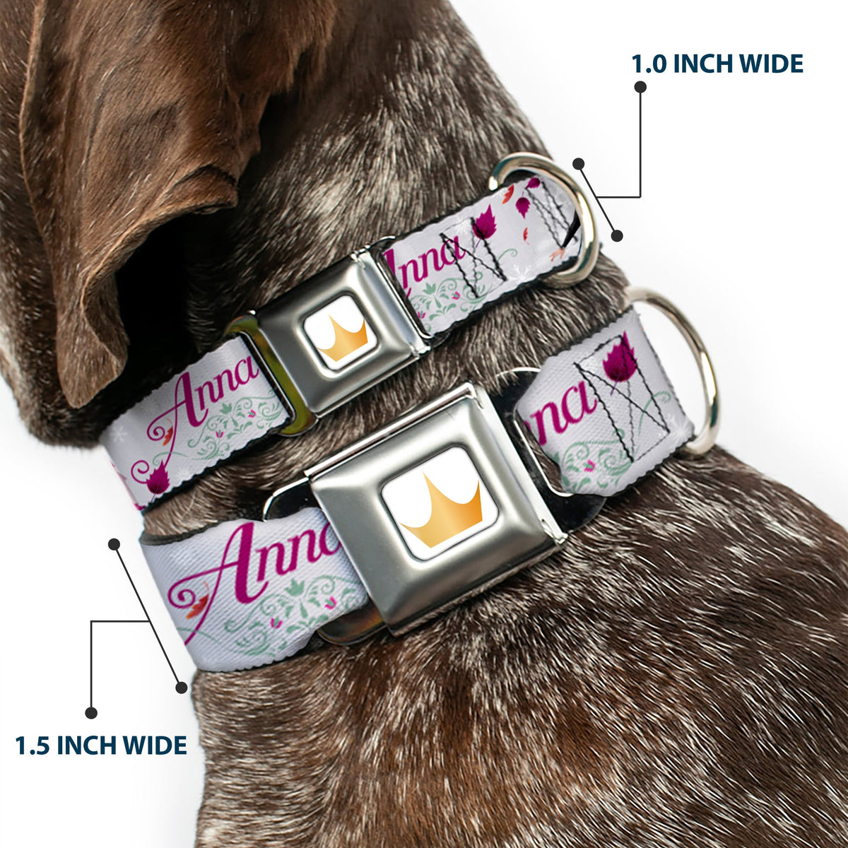 Disney Princess Crown Full Color Golds Seatbelt Buckle Collar - Frozen Anna Castle Pose with Flowers and Script Grays/Pinks