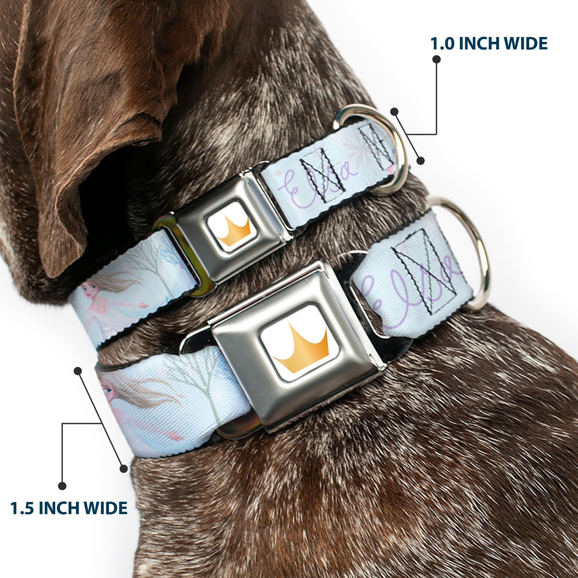 Disney Princess Crown Full Color Golds Seatbelt Buckle Collar - Frozen Elsa Snowflake Pose with Trees and Script Blues/Purples