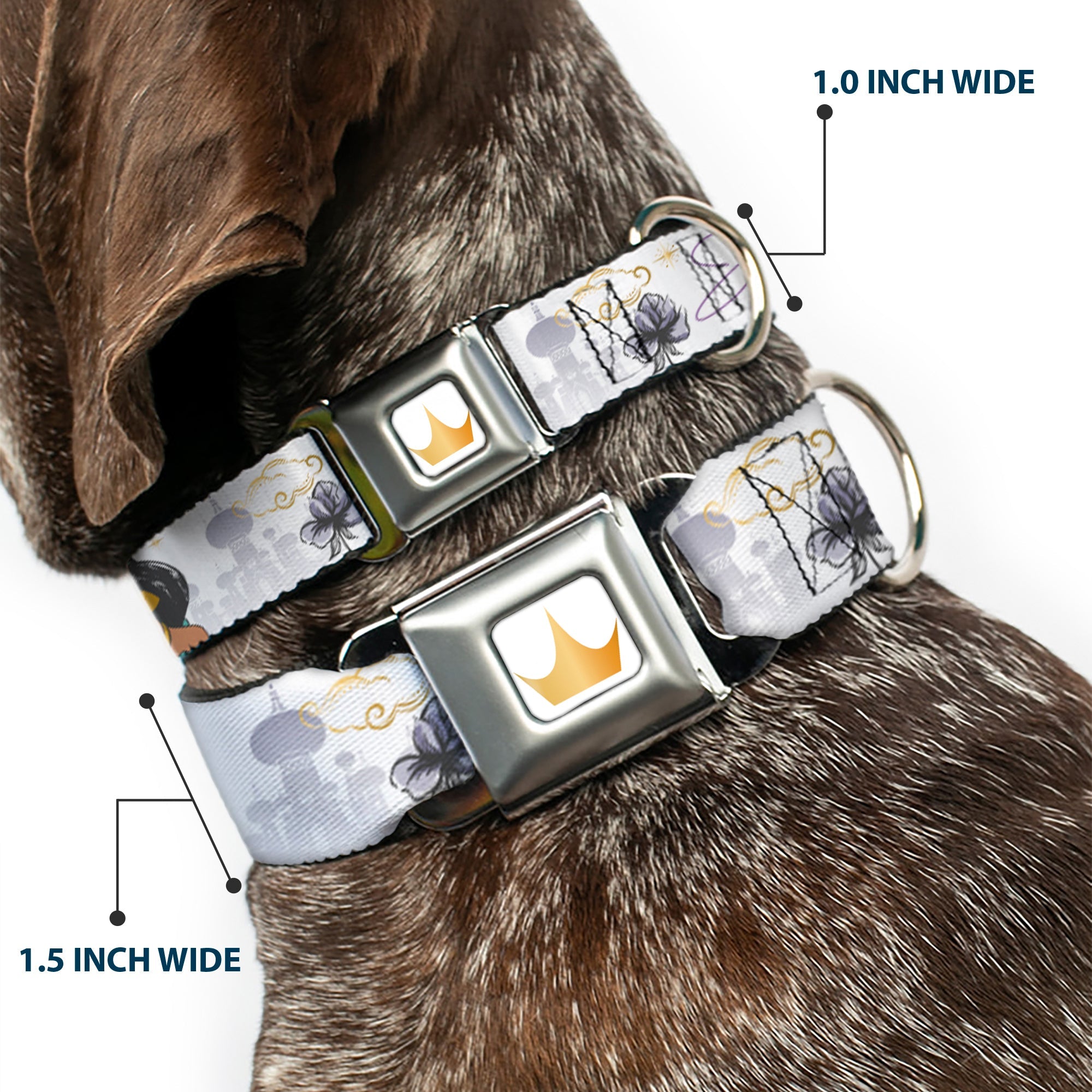 Disney Princess Crown Full Color Golds Seatbelt Buckle Collar - Aladdin Jasmine Palace Pose with Script and Flowers White/Purples