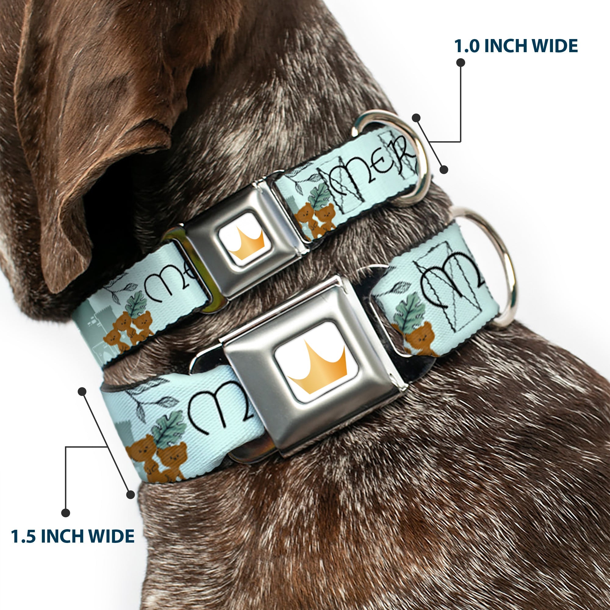 Disney Princess Crown Full Color Golds Seatbelt Buckle Collar - Brave Merida Castle and Three Bear Brothers Pose with Script Greens