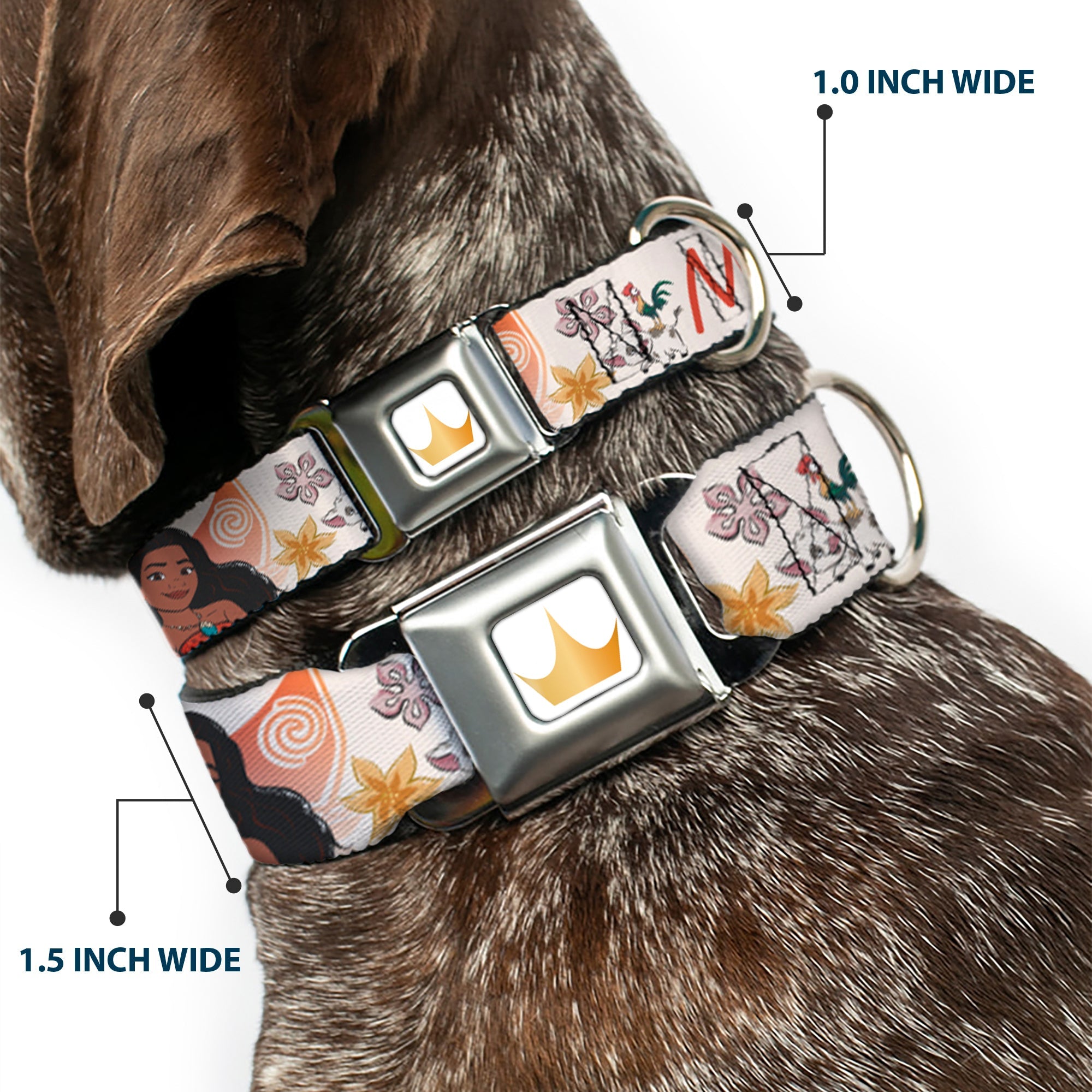 Disney Princess Crown Full Color Golds Seatbelt Buckle Collar - Moana with Pua and Hei Hei Sail Pose with Script and Flowers Beige/Orange