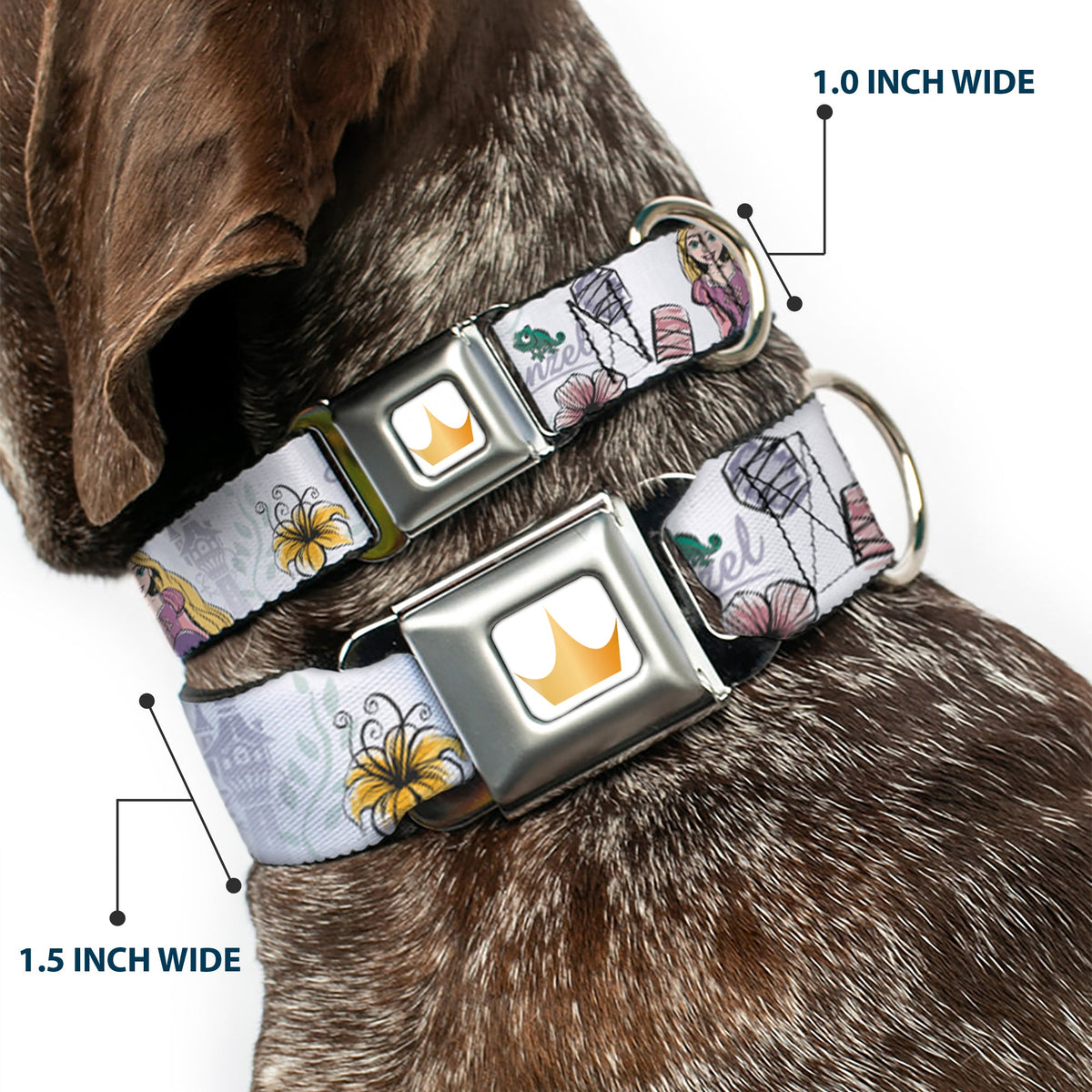 Disney Princess Crown Full Color Golds Seatbelt Buckle Collar - Rapunzel Castle and Pascual Pose with Script and Flowers White/Purples