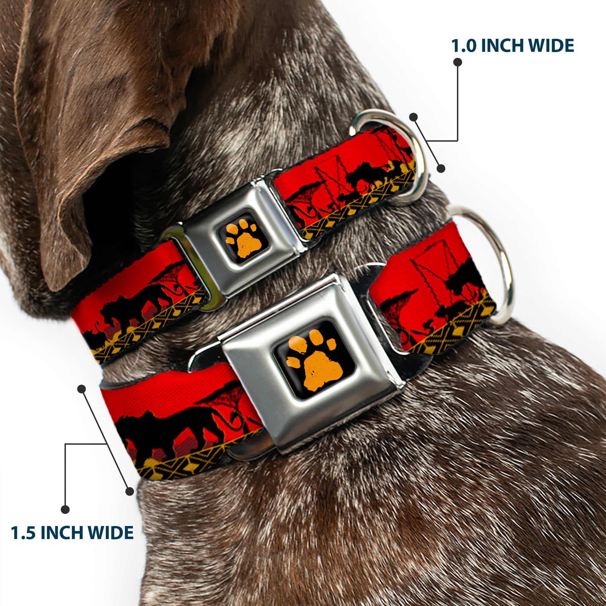 Lion King Paw Full Color Black Gold Seatbelt Buckle Collar - Mufasa & Simba JUST CANT WAIT TO BE KING/Family Silhouette